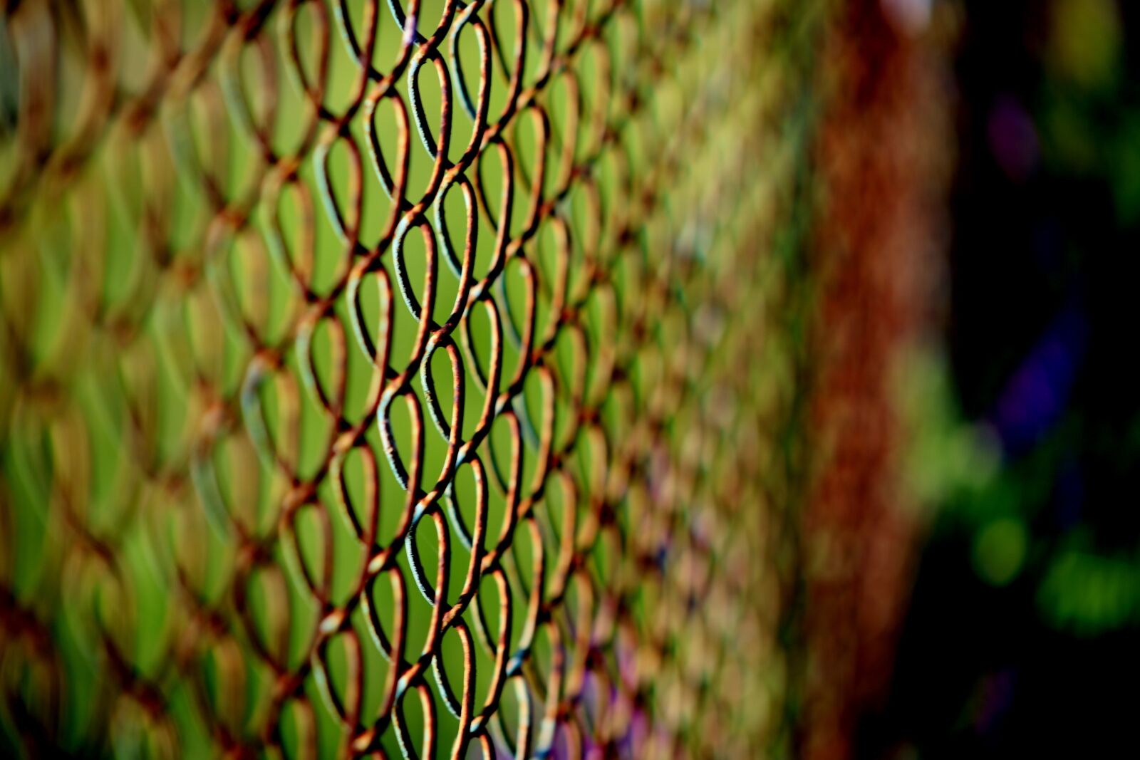 Canon EOS RP sample photo. Fence, steel, metal photography