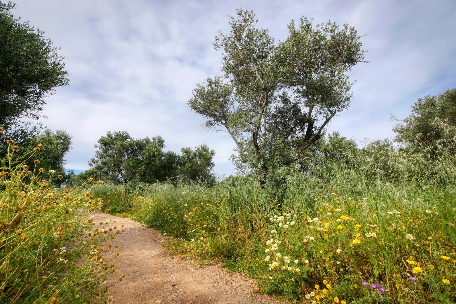 Panasonic Lumix DMC-GX8 sample photo. Walk, hiking, crete photography