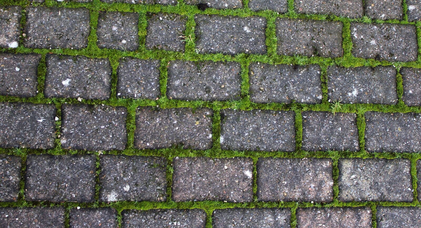 Canon EOS 550D (EOS Rebel T2i / EOS Kiss X4) sample photo. Driveway, brick, stone photography