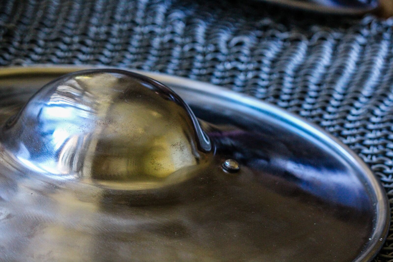Canon EF-S 55-250mm F4-5.6 IS II sample photo. Armour, shield, armor photography