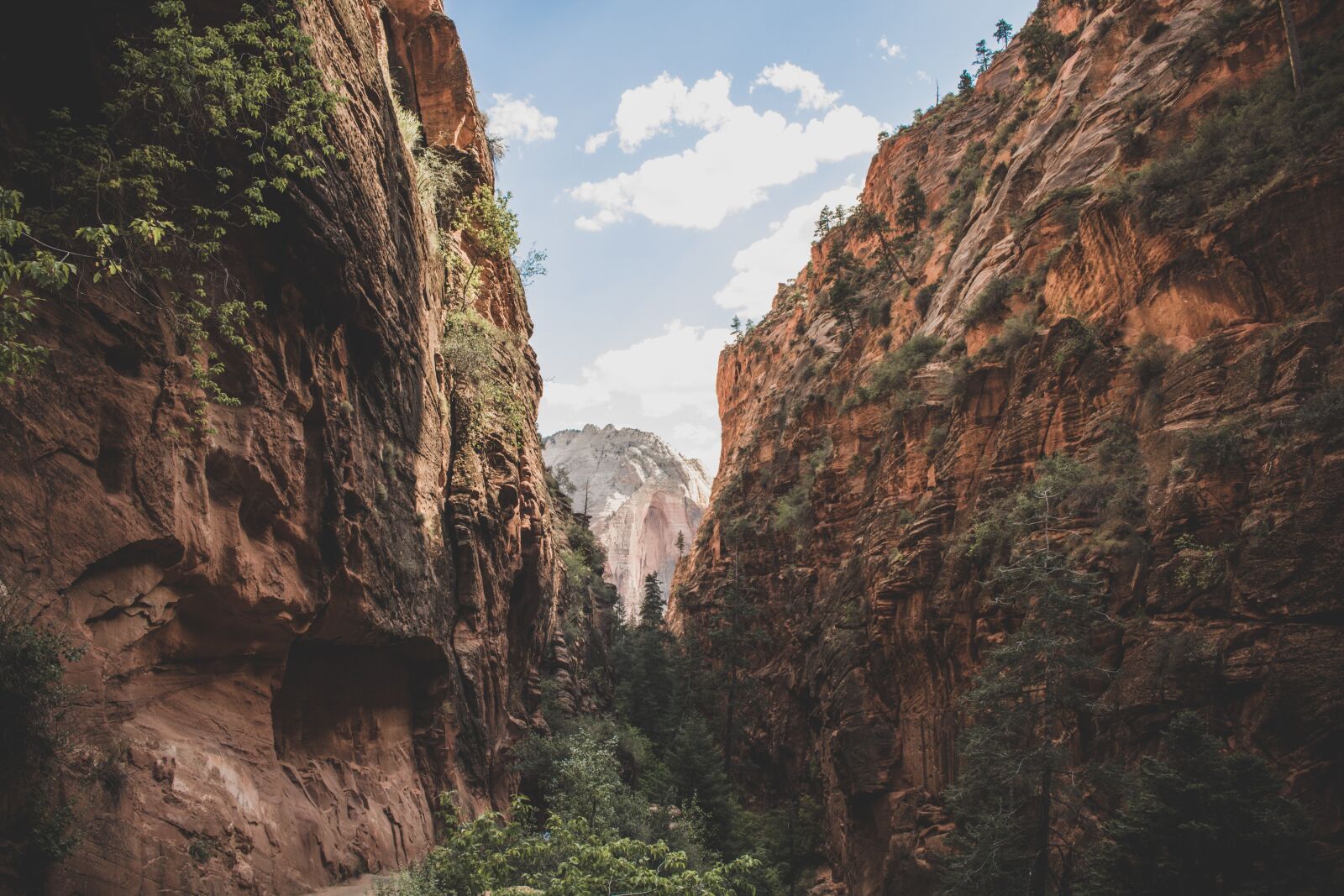 Canon EOS 750D (EOS Rebel T6i / EOS Kiss X8i) sample photo. Cliff, canyon, gorge photography
