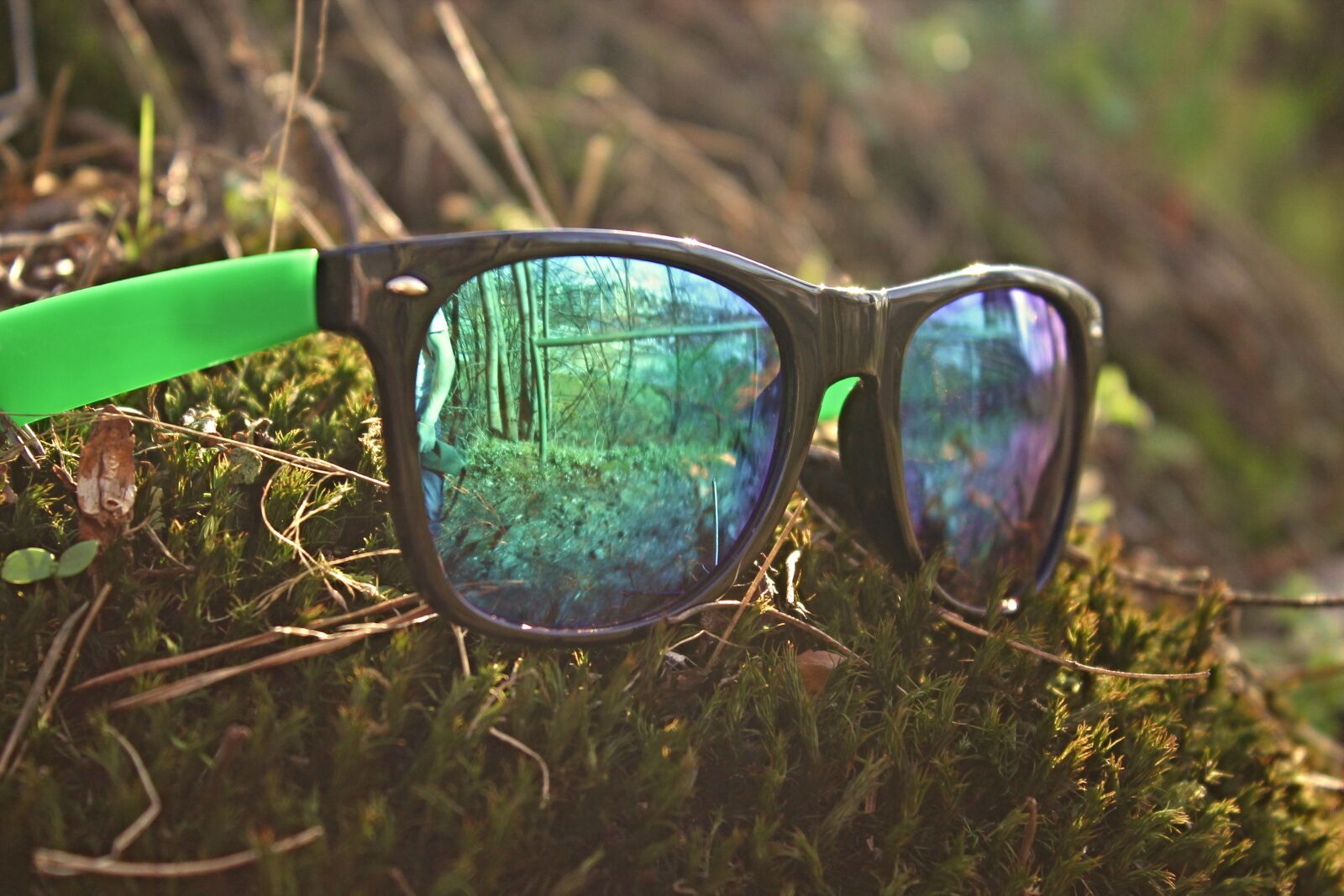 Canon EOS 1100D (EOS Rebel T3 / EOS Kiss X50) sample photo. Glasses, the sun, sun photography