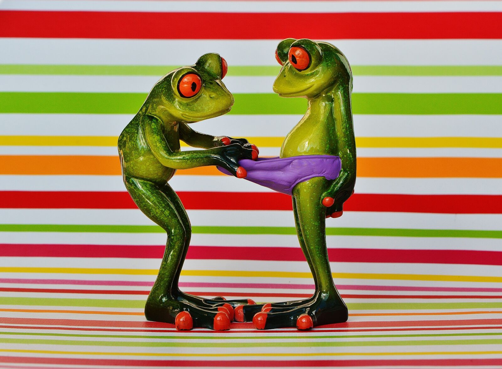 Nikon D3200 sample photo. Frogs, curious, funny photography