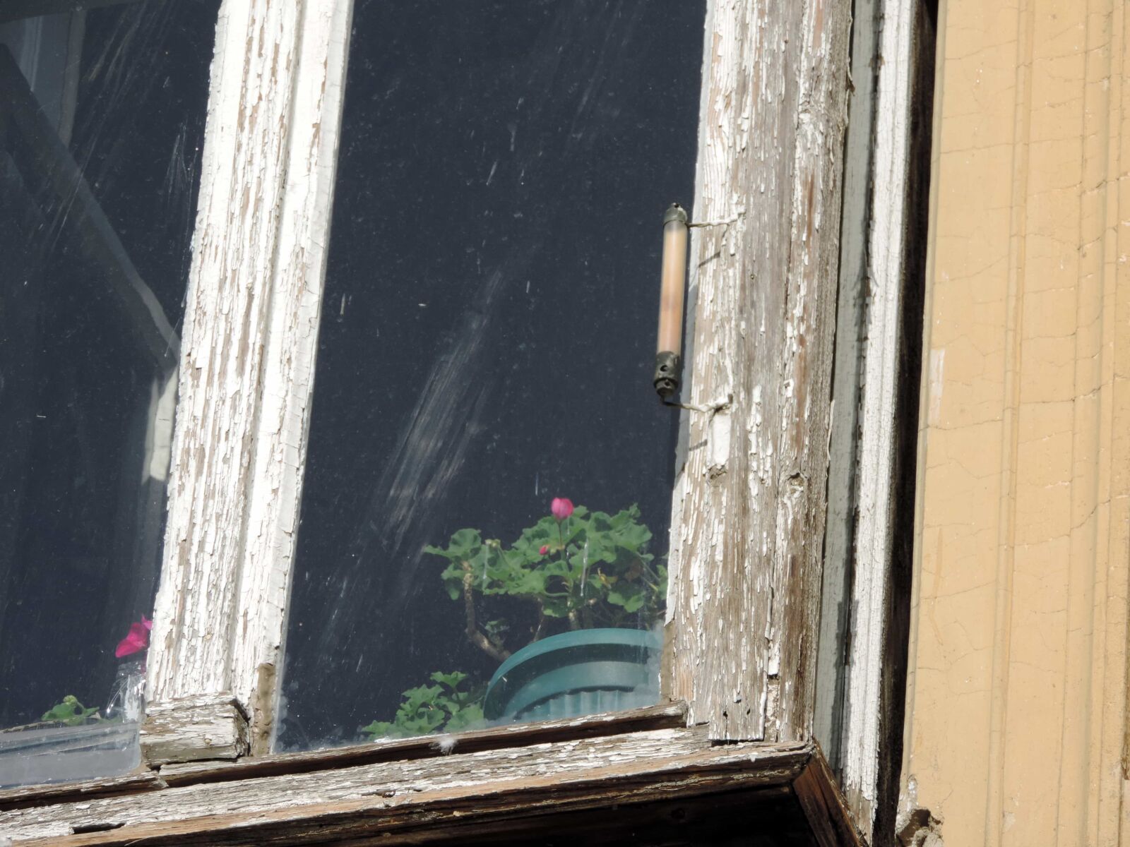 Nikon Coolpix P520 sample photo. Baroque, detail, flowerpot, window photography
