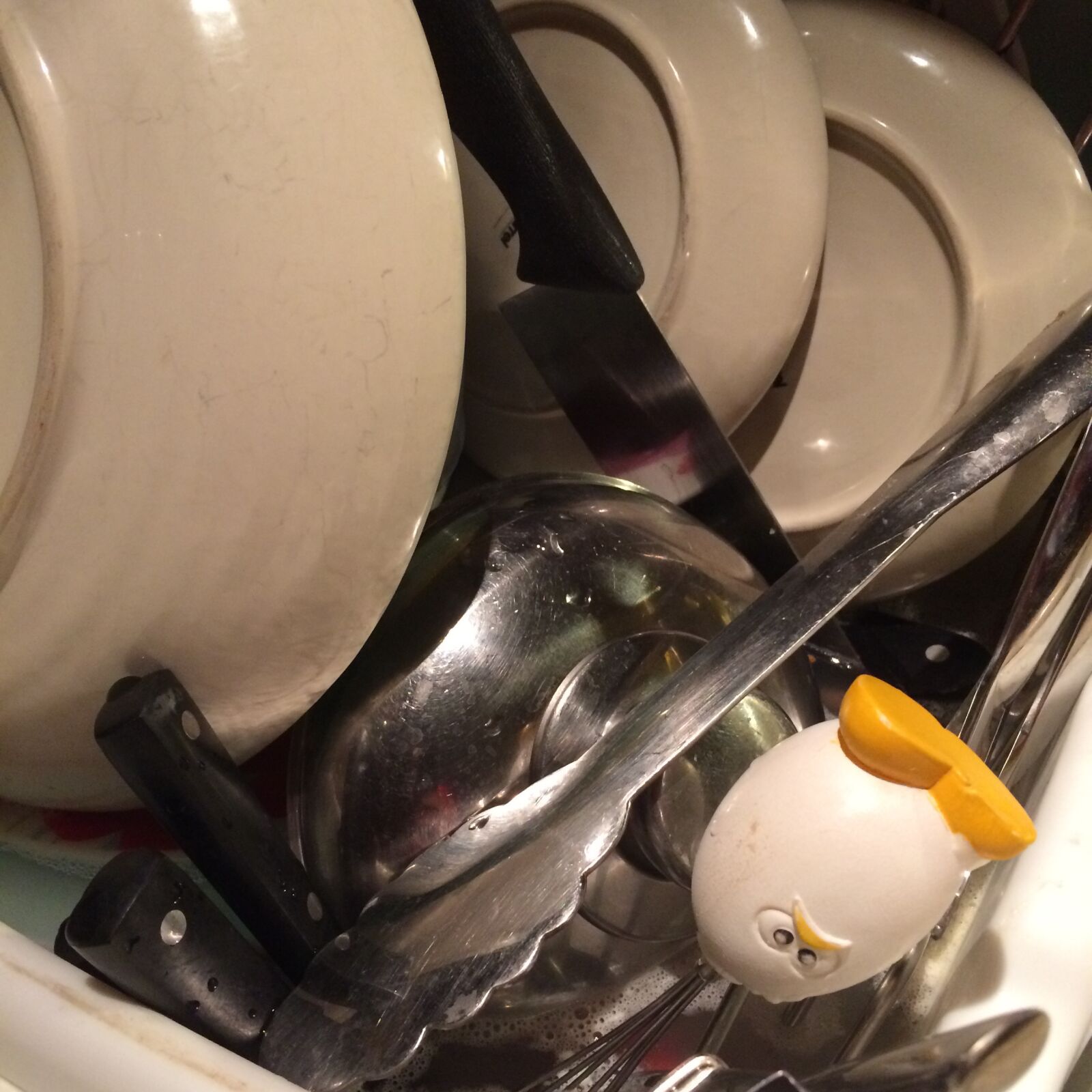 iPhone 5s back camera 4.15mm f/2.2 sample photo. Angry, angry, bird, cranky photography