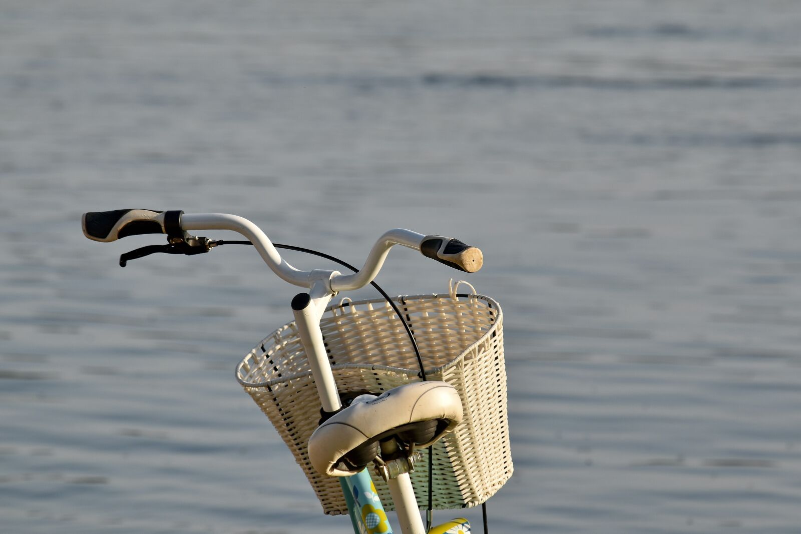 Nikon D5500 sample photo. Bicycle, nostalgia, river, steering photography