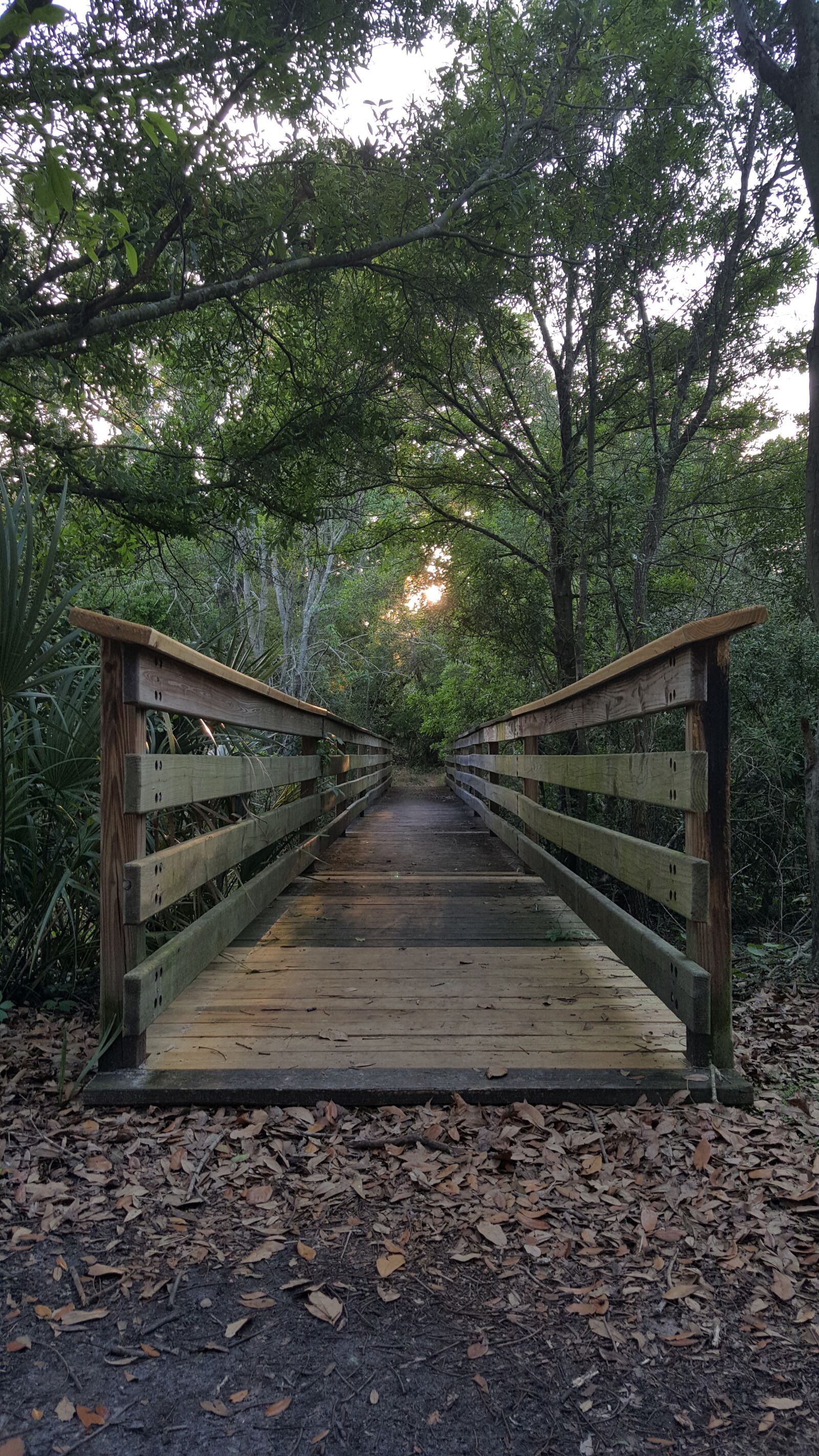Samsung Galaxy Note5 sample photo. Nature, trail, park photography