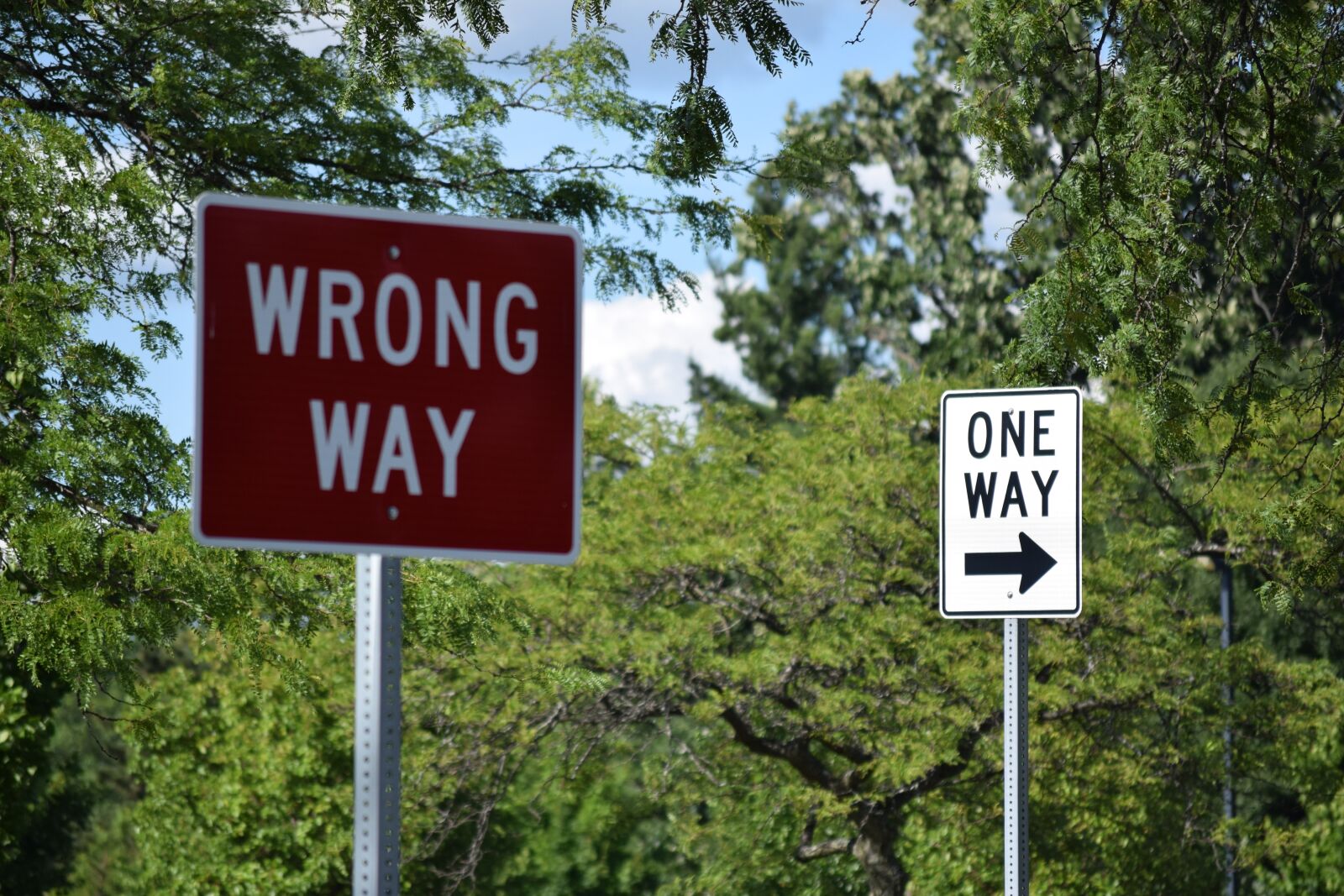 Nikon D3300 sample photo. Sign, street, road photography