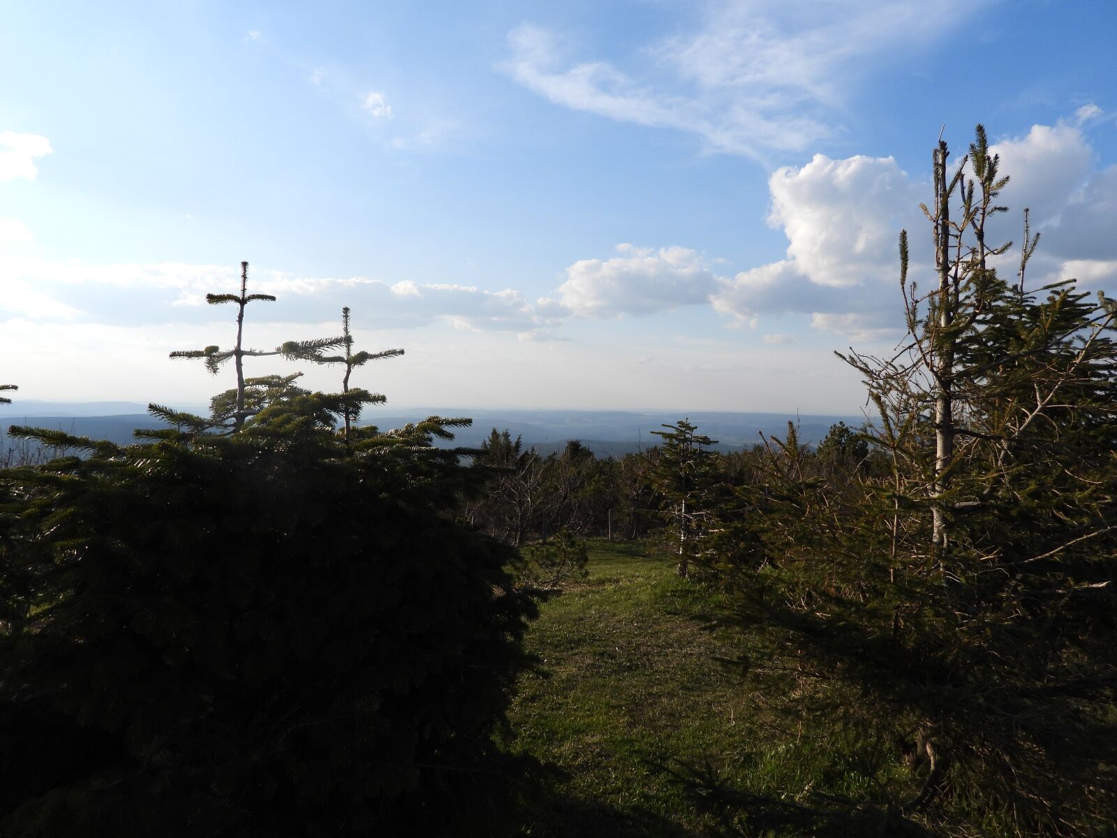 Nikon Coolpix P1000 sample photo. Fichtelberg, ore mountains, bank photography