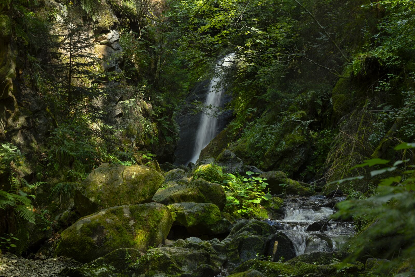 Canon EOS 5D Mark IV sample photo. Water, river, nature photography