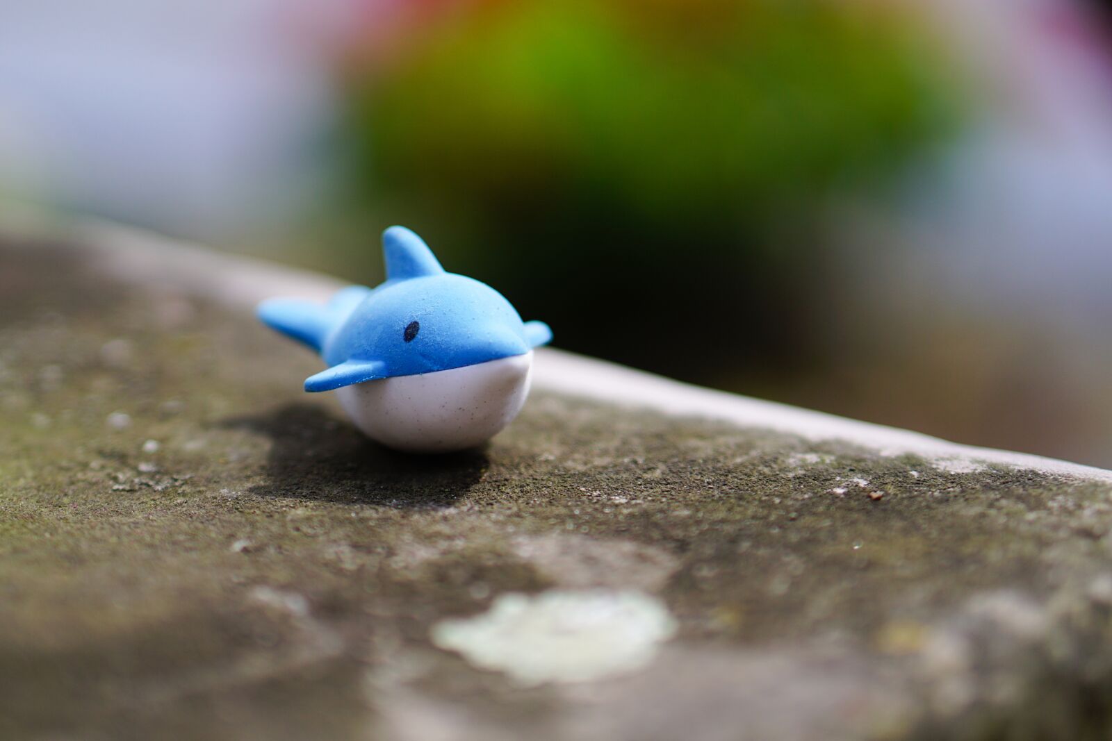 E 50mm F1.8 OSS sample photo. Wal, dolphin, water photography