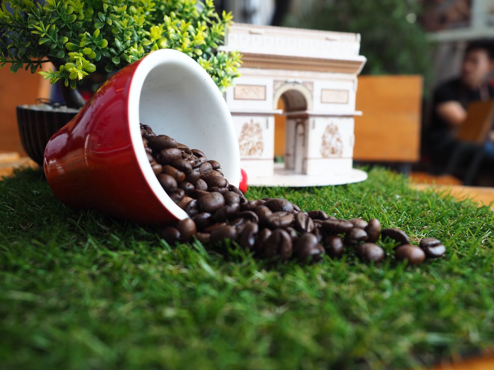 Olympus OM-D E-M5 II + Olympus M.Zuiko Digital ED 12-40mm F2.8 Pro sample photo. Coffee bean, caffeine, coffee photography