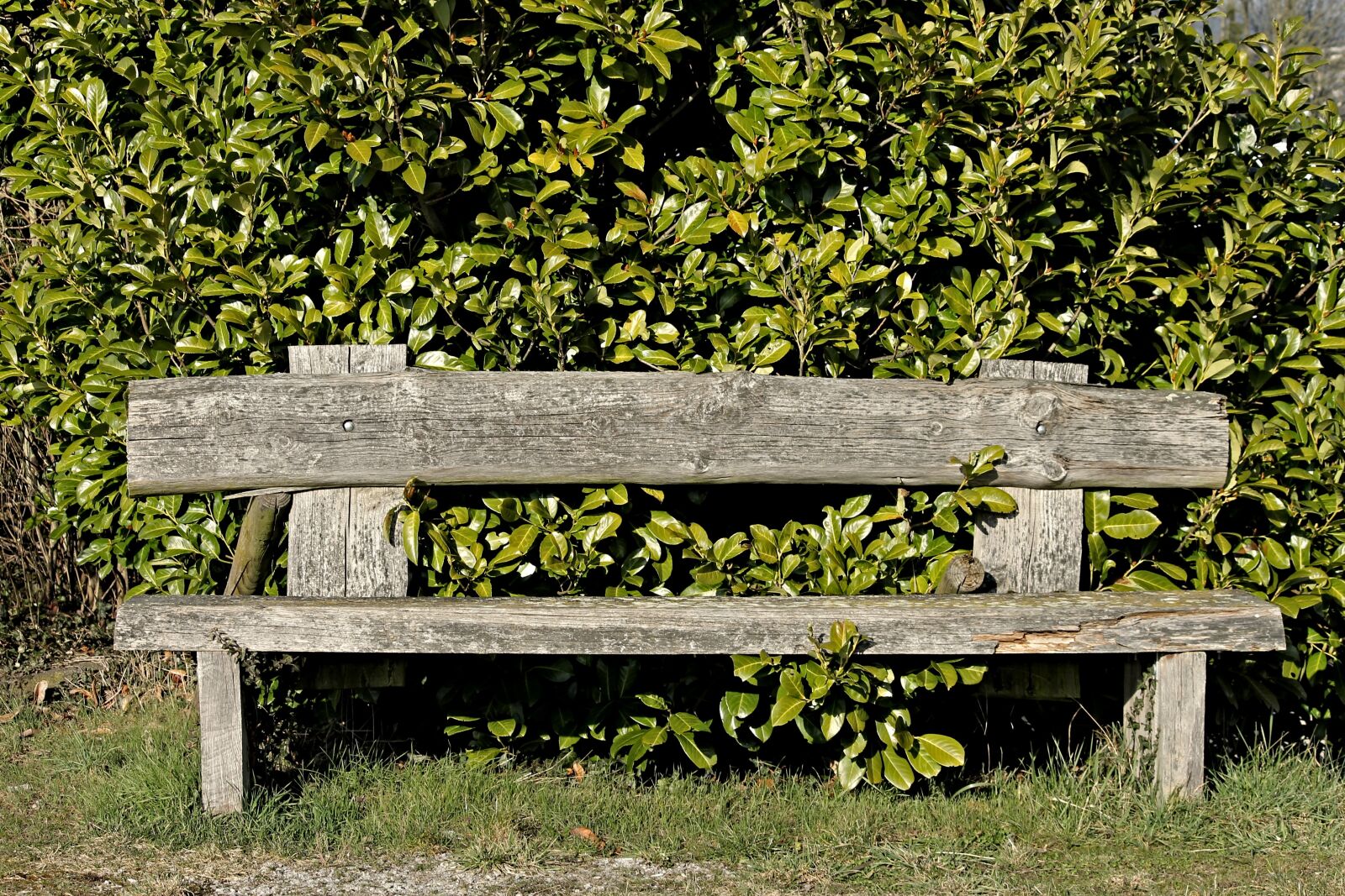 Canon EOS 1100D (EOS Rebel T3 / EOS Kiss X50) sample photo. Tranquility base, wooden bench photography
