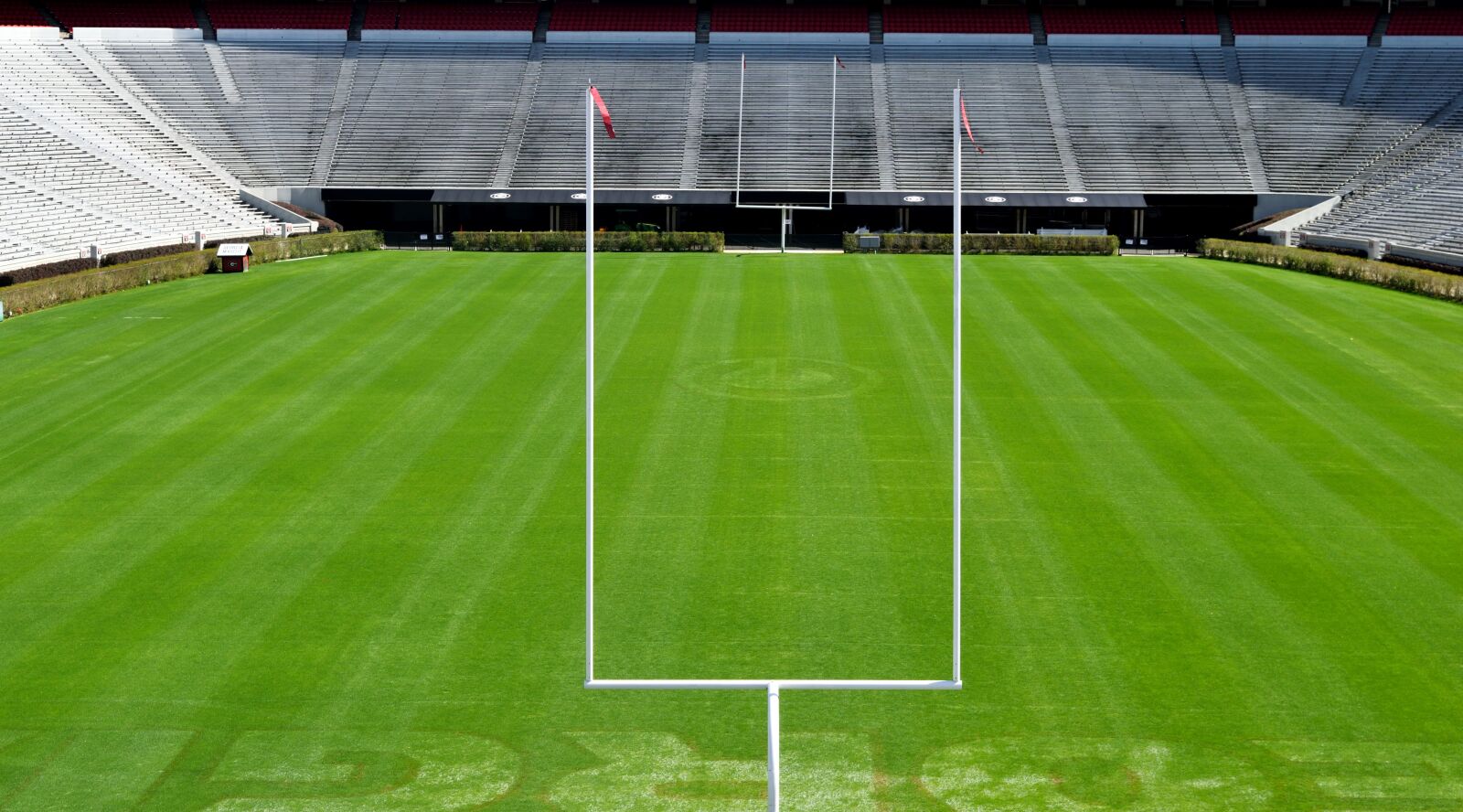 Nikon D3300 sample photo. University of georgia, football photography