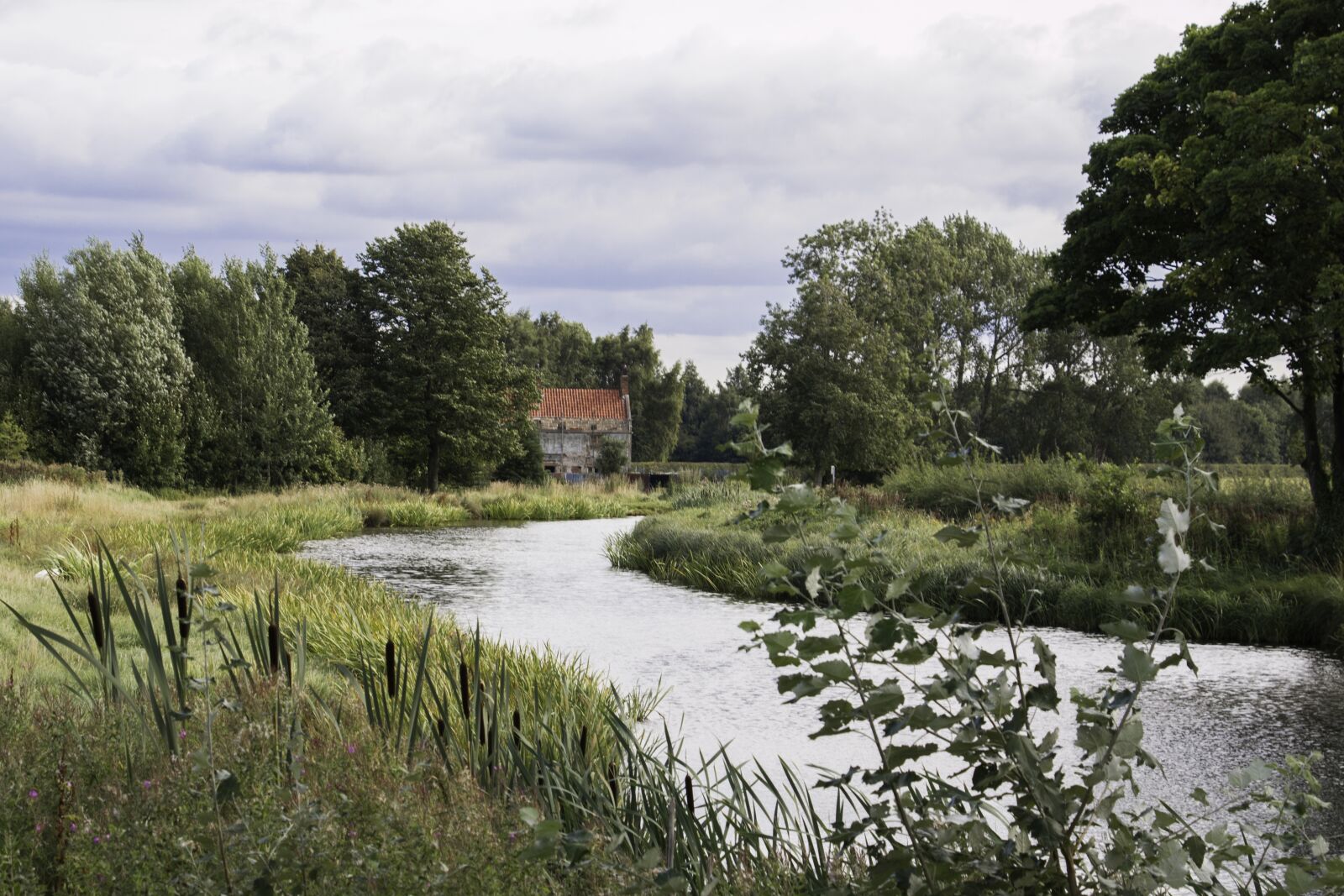 Canon EOS 70D sample photo. Landscape, doncaster, britain photography