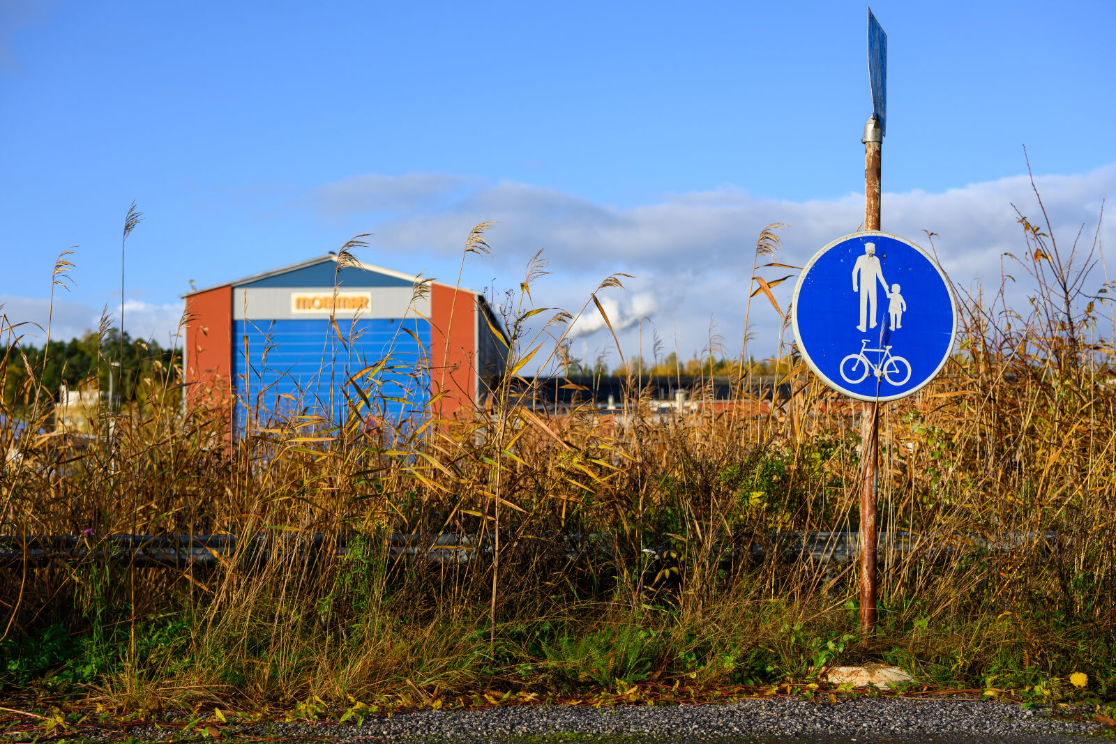Nikon Z8 sample photo. Forgotten sign photography