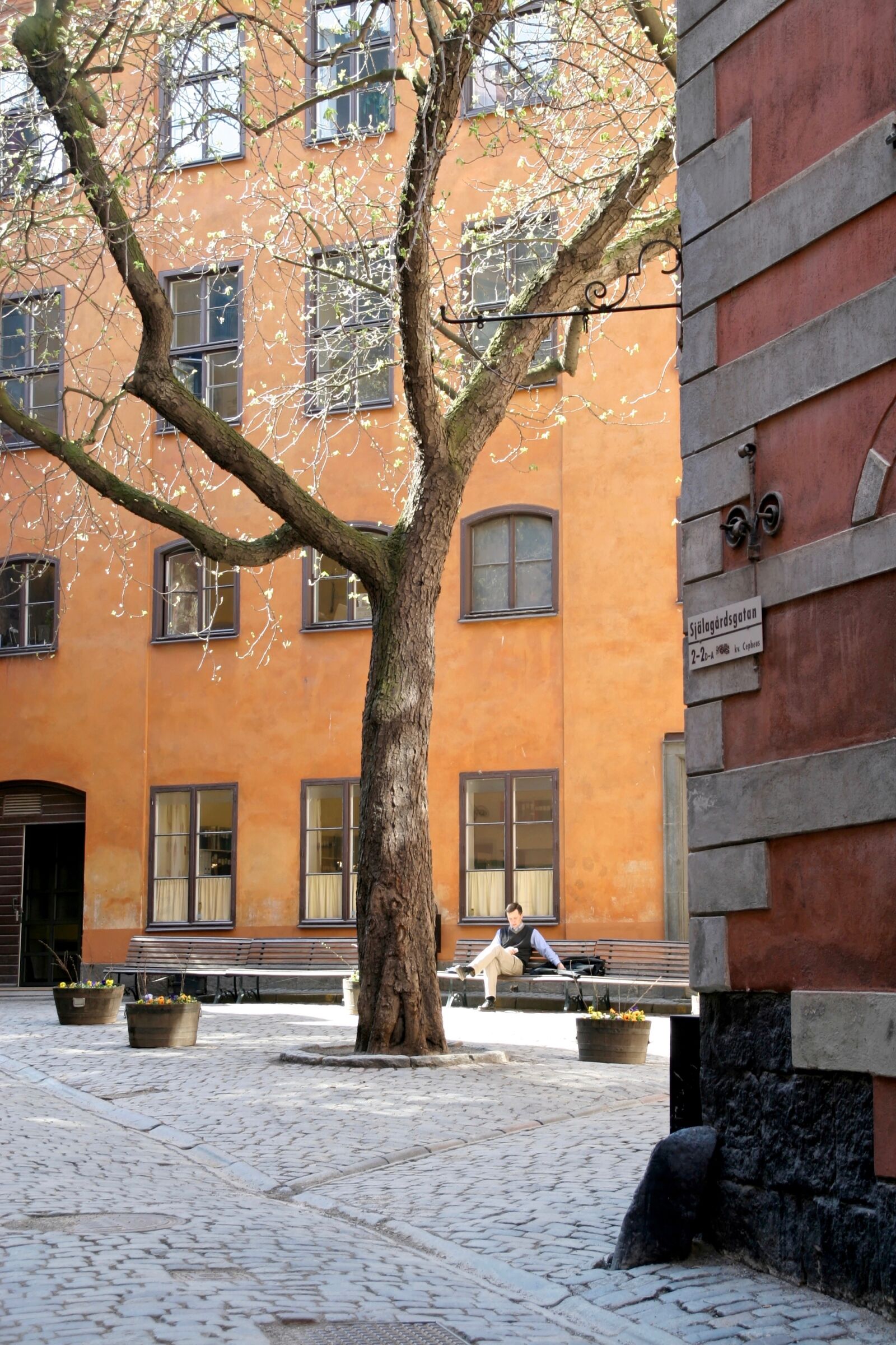 Canon EOS 10D sample photo. Facade, window, outlook photography