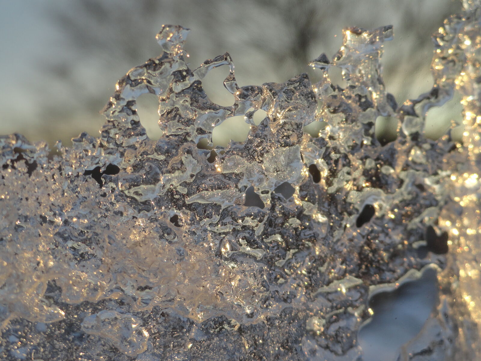 Sony Cyber-shot DSC-H70 sample photo. Closeup, ice, macro, sunset photography