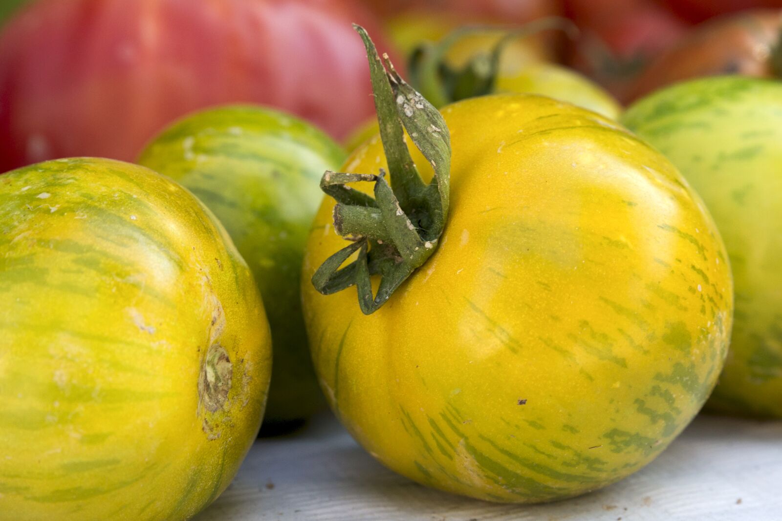 Canon EOS 6D sample photo. Tomato, vegetable, fresh photography