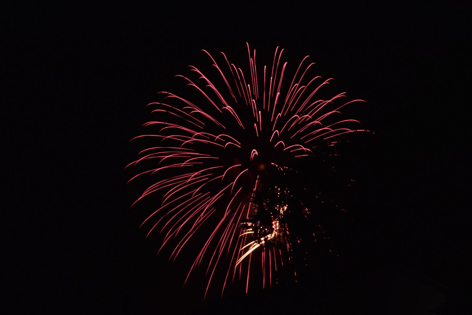 Nikon D5300 sample photo. Fireworks, night, celebration photography