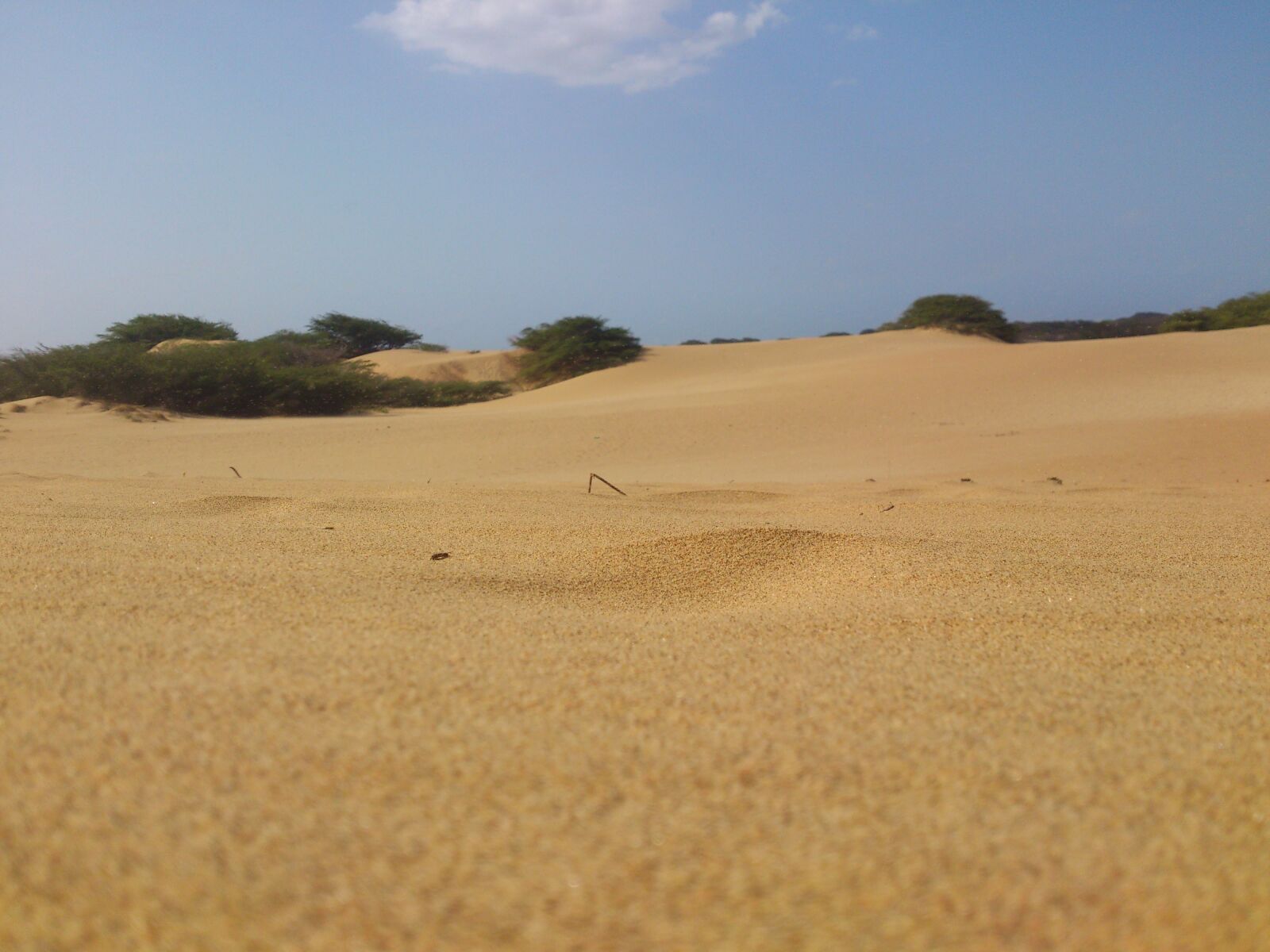 Sony Ericsson Xperia S sample photo. Coro, desert, sand photography