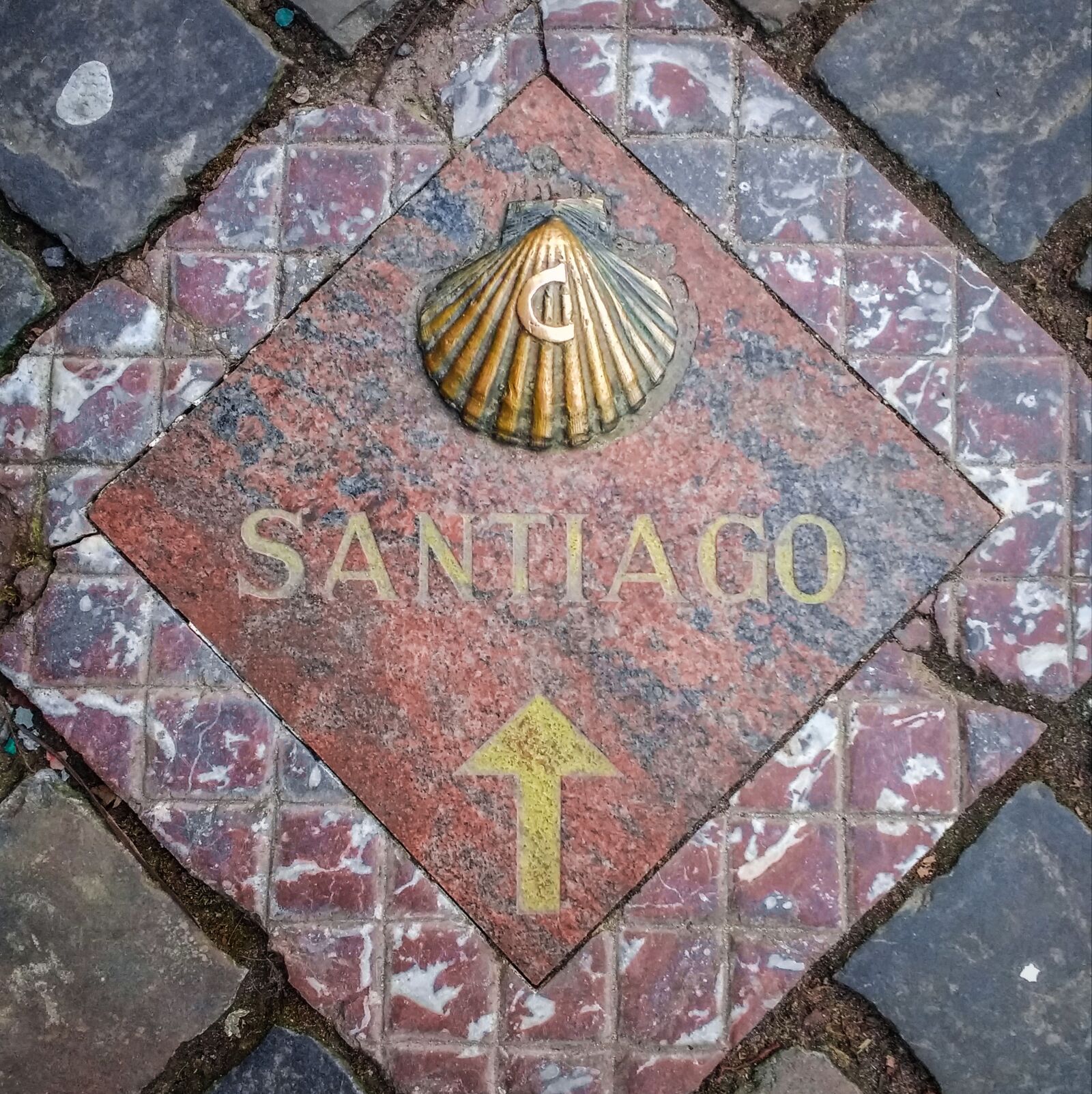 Motorola Moto G (4) sample photo. Tile, how to get photography