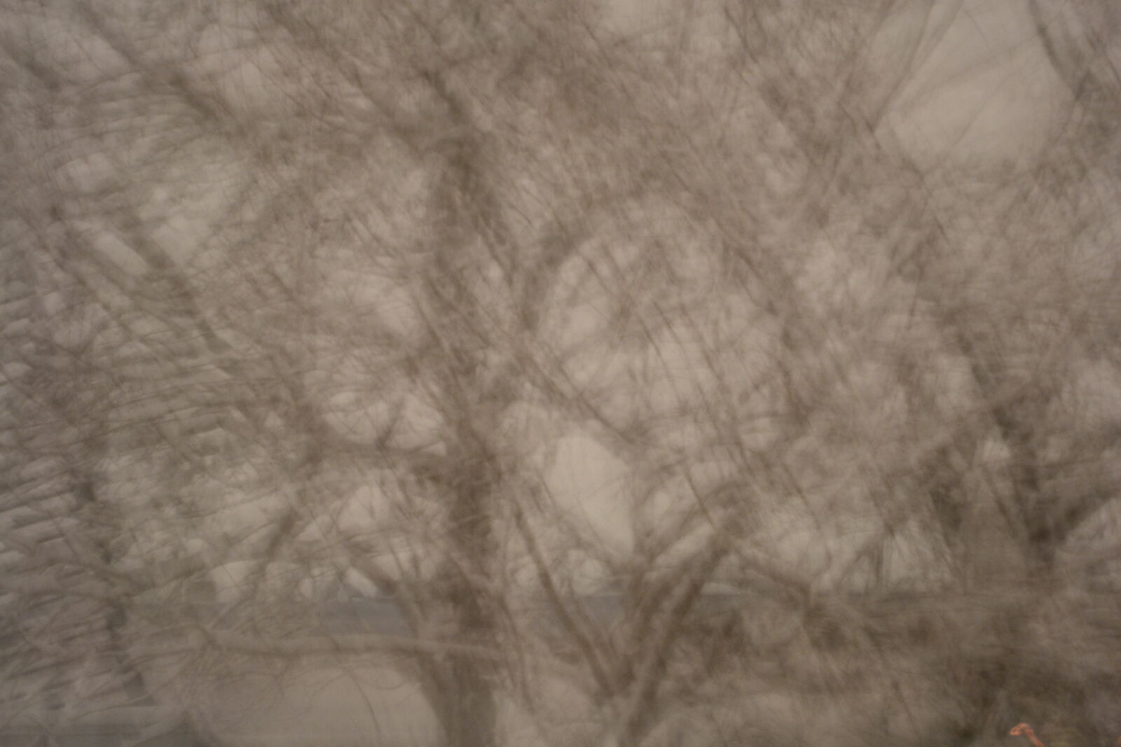 Nikon D3100 sample photo