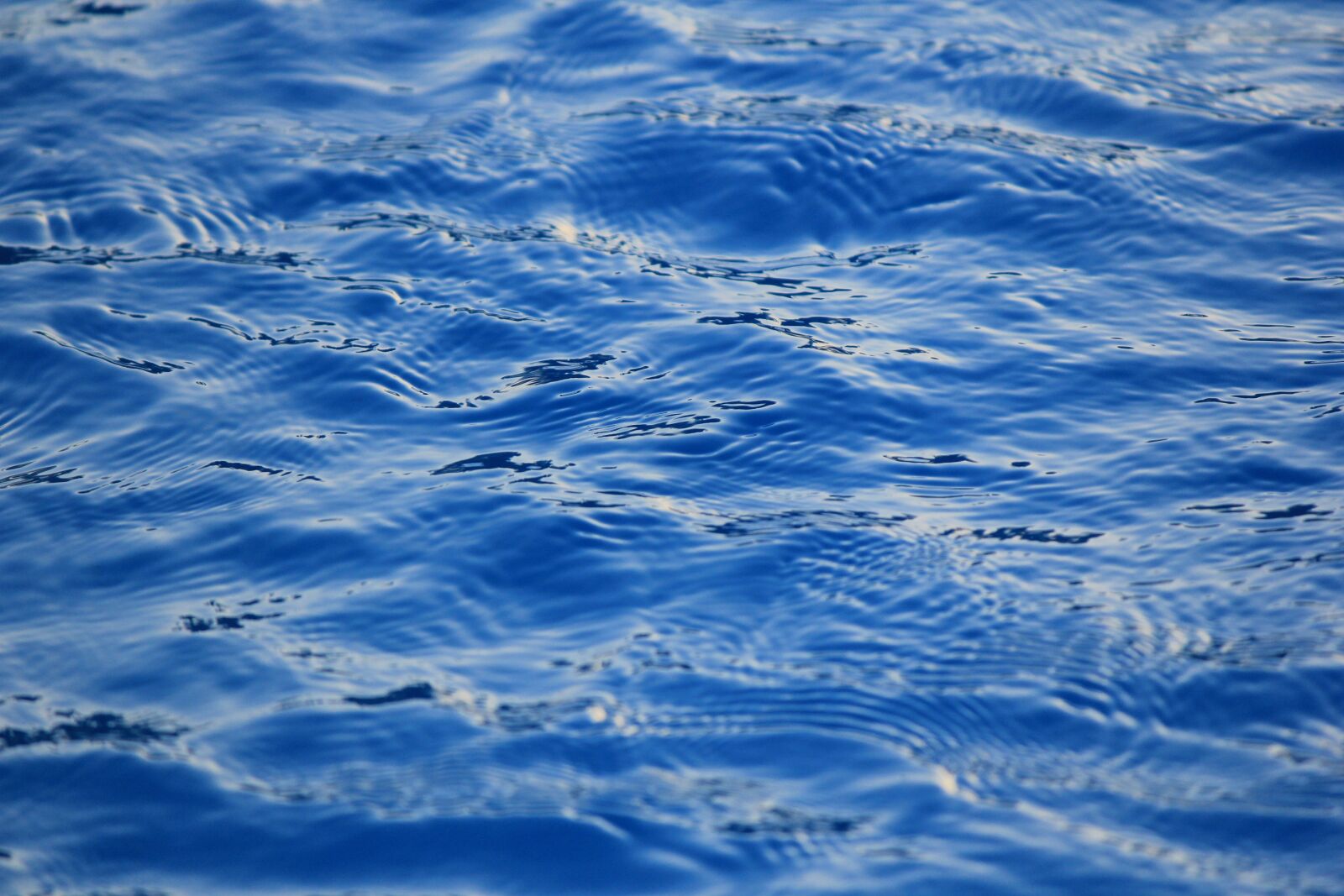 Canon EOS 60D + Canon EF-S 55-250mm F4-5.6 IS II sample photo. Water, pool, blue photography