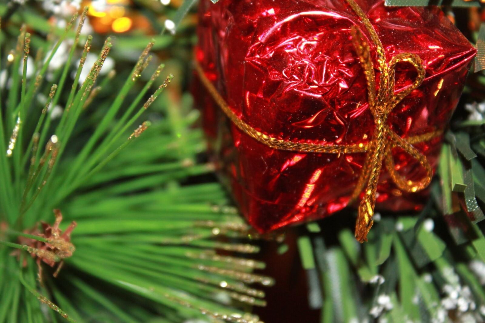 Canon EOS 500D (EOS Rebel T1i / EOS Kiss X3) sample photo. Gift, present, christmas, decoration photography