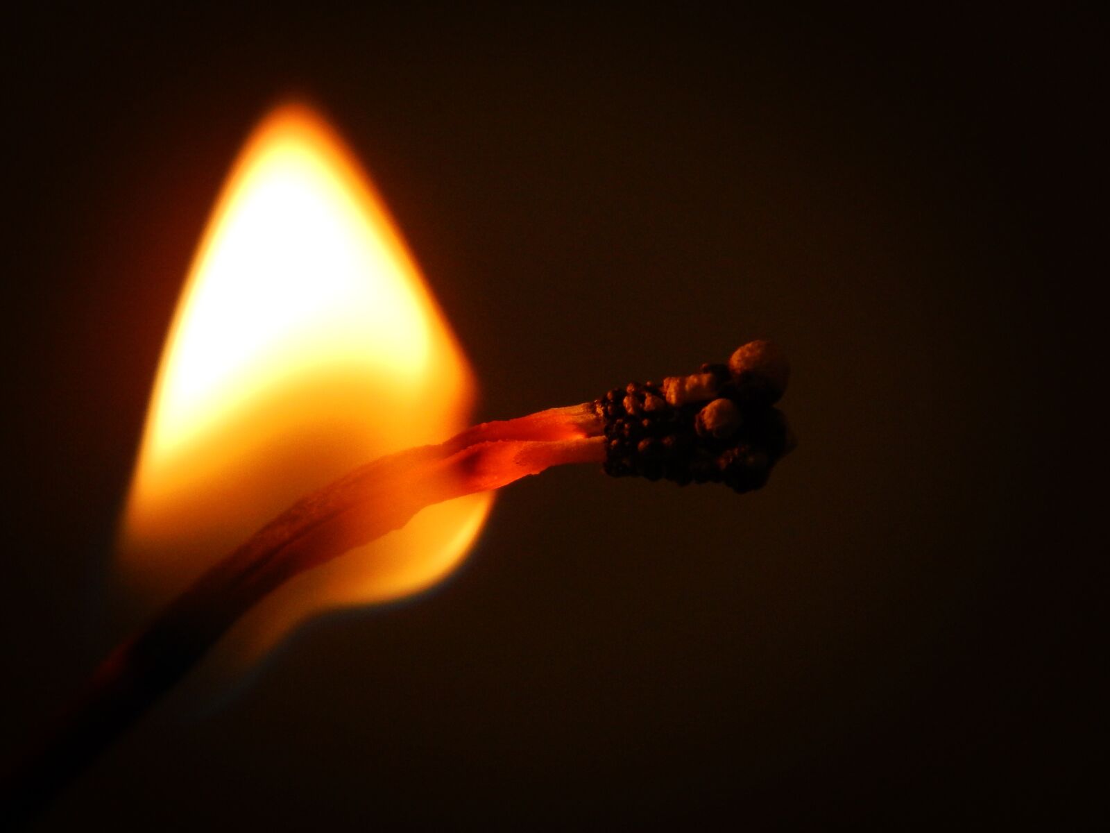 Nikon Coolpix AW110 sample photo. Phosphorus, fire, burn photography