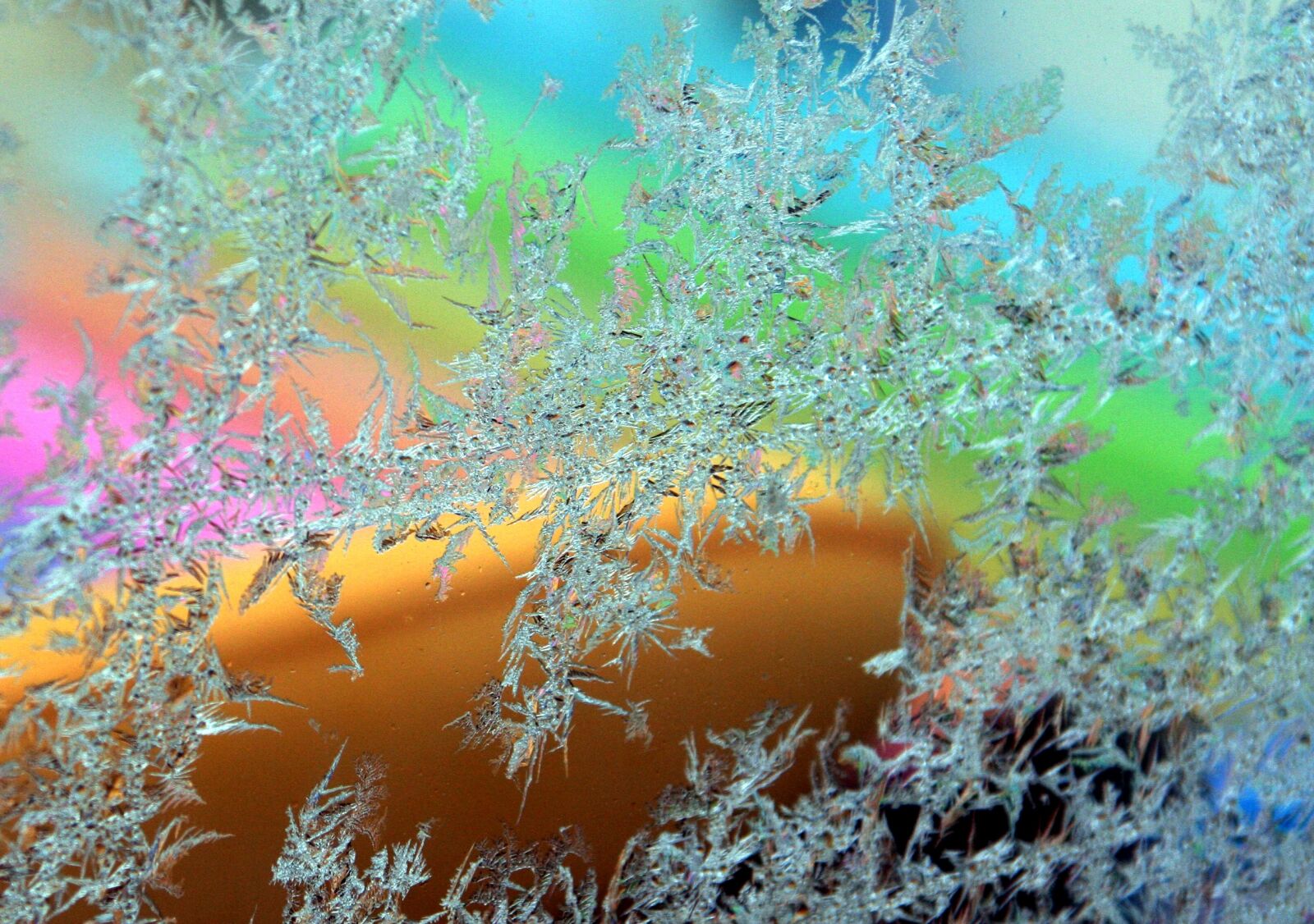 Canon EOS 350D (EOS Digital Rebel XT / EOS Kiss Digital N) sample photo. Glass, winter, gel photography