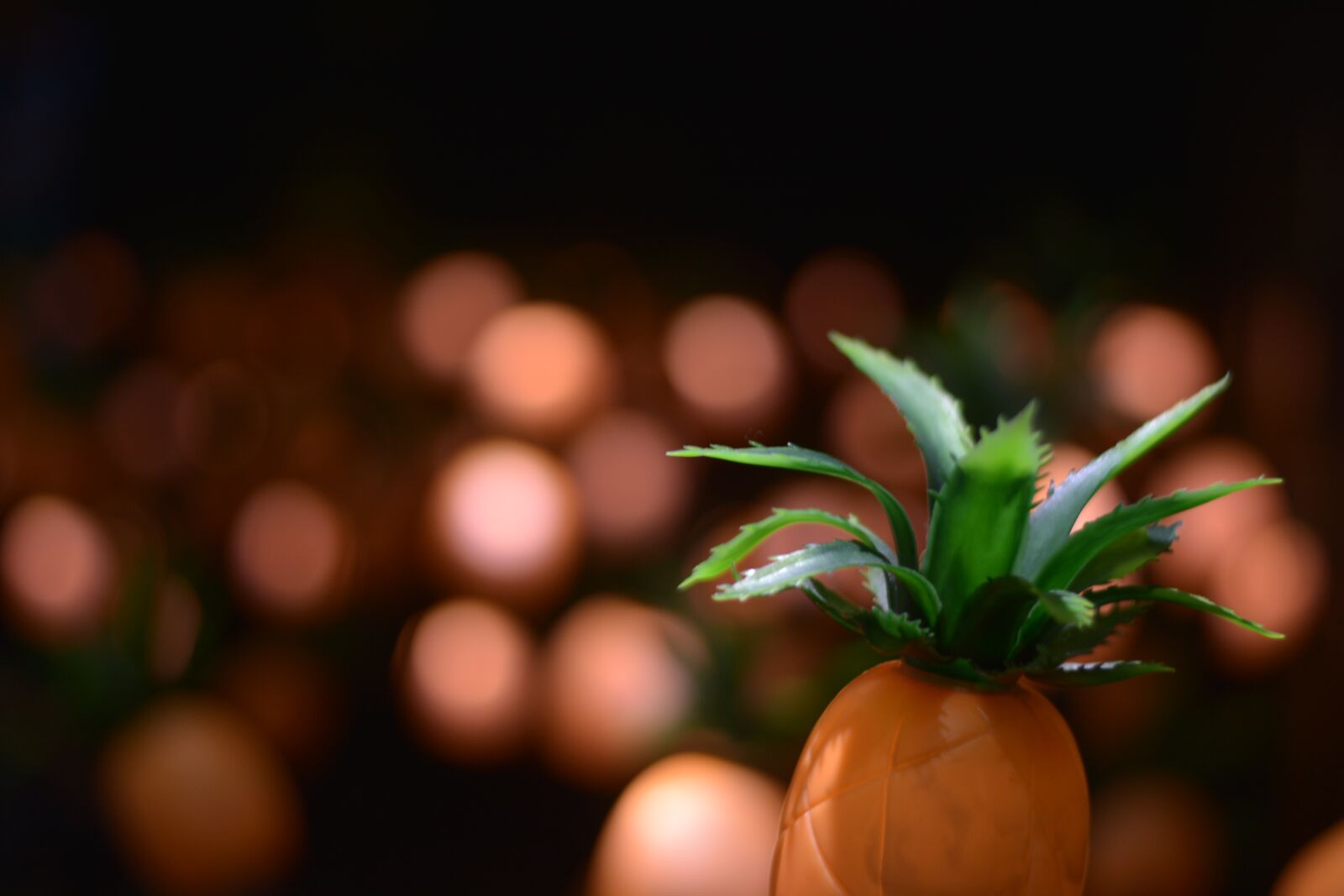 Nikon D7100 sample photo. Pineapple, light, taiwan photography
