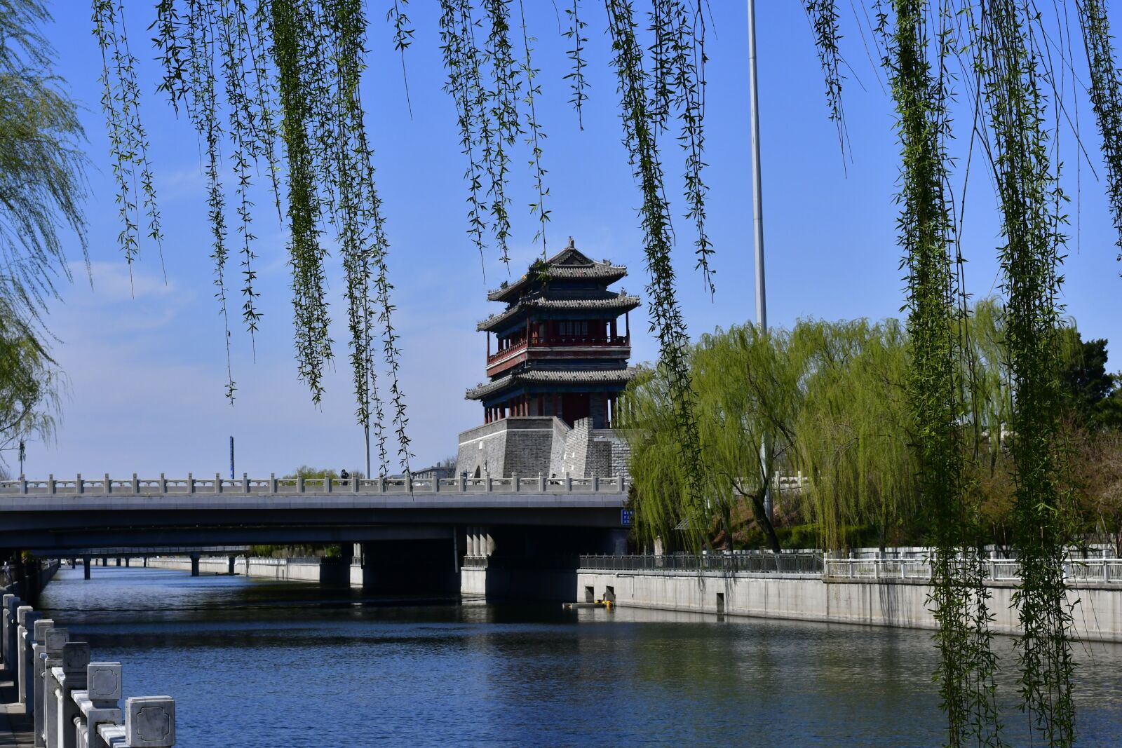 Nikon D7500 sample photo. Building, spring, china photography