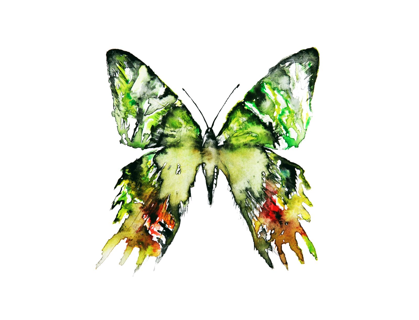 Canon EOS 5D Mark II sample photo. Green, watercolor, watercolour photography