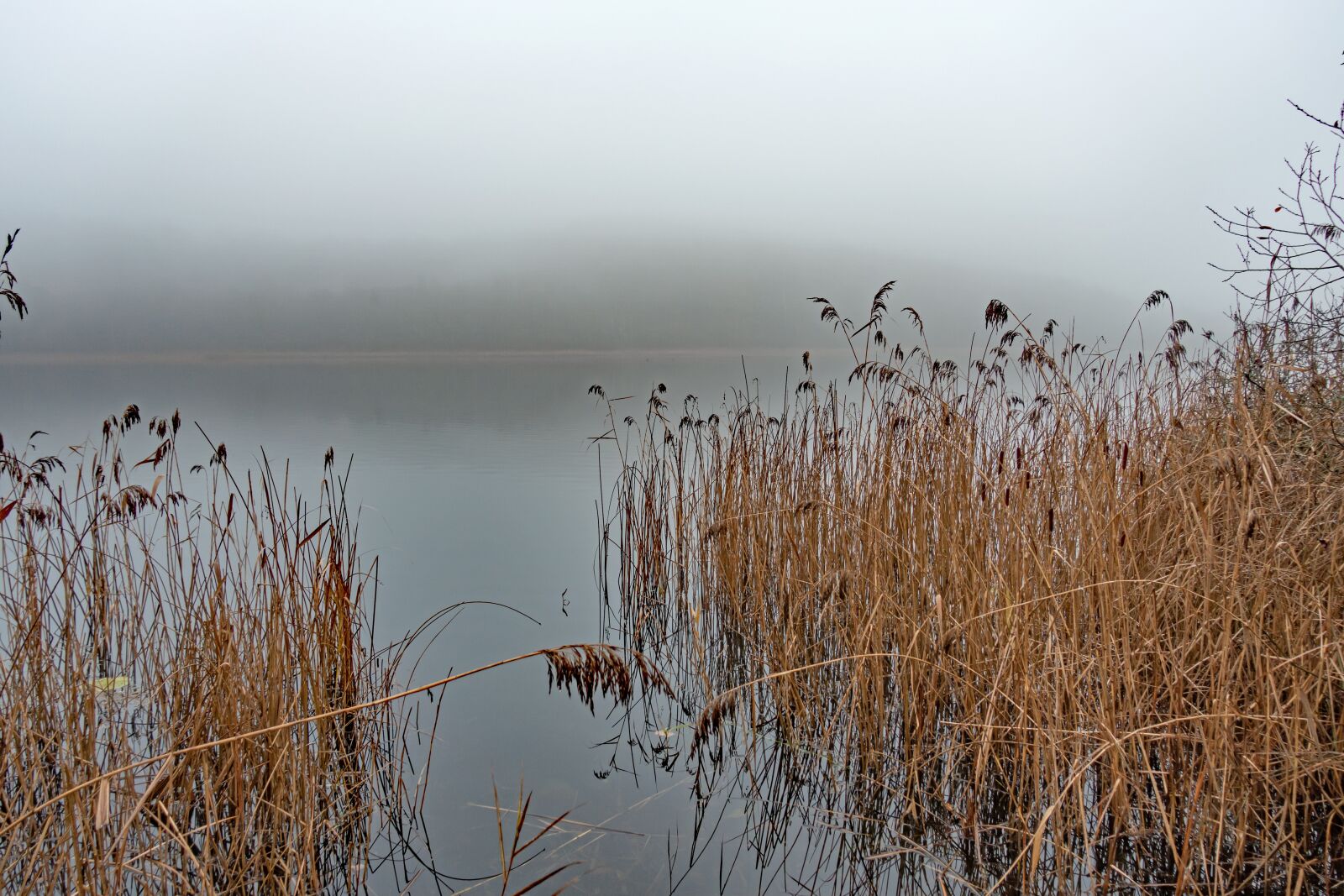 Sony Cyber-shot DSC-RX100 III sample photo. Dis, fog, lake photography