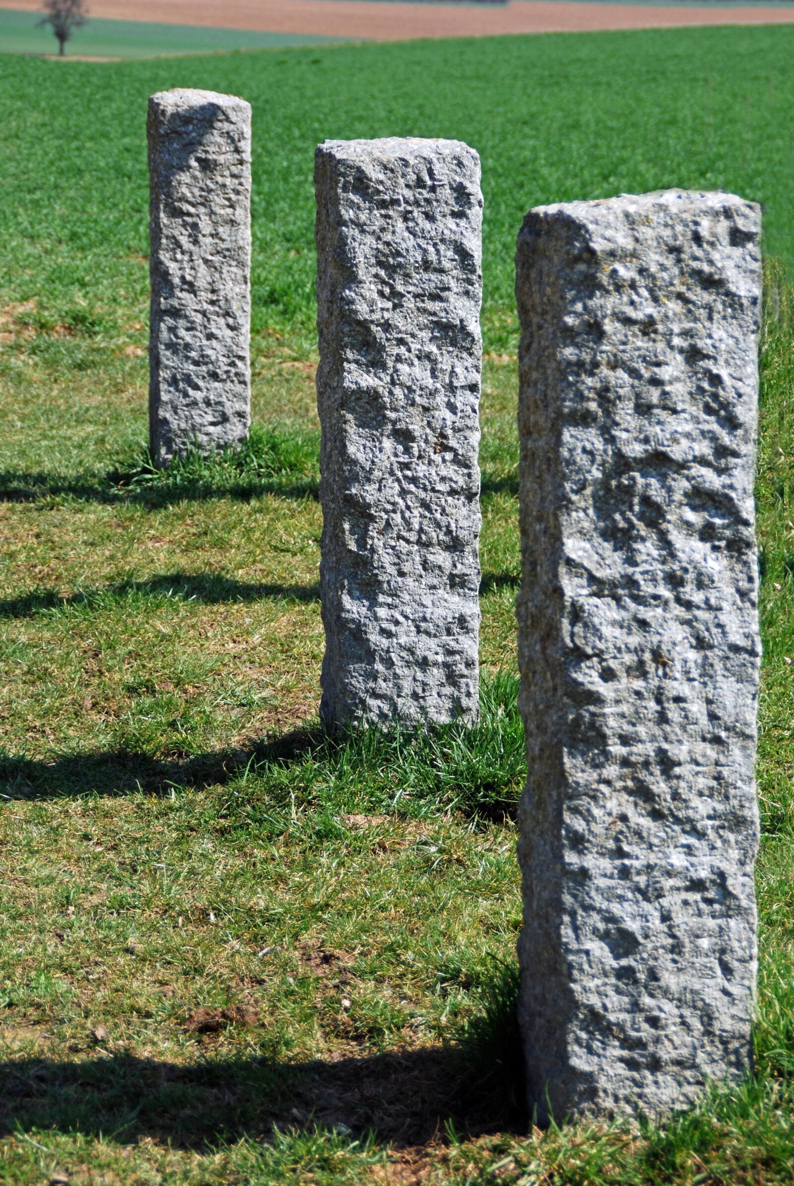 Nikon D40X sample photo. Stones, china, stone forest photography