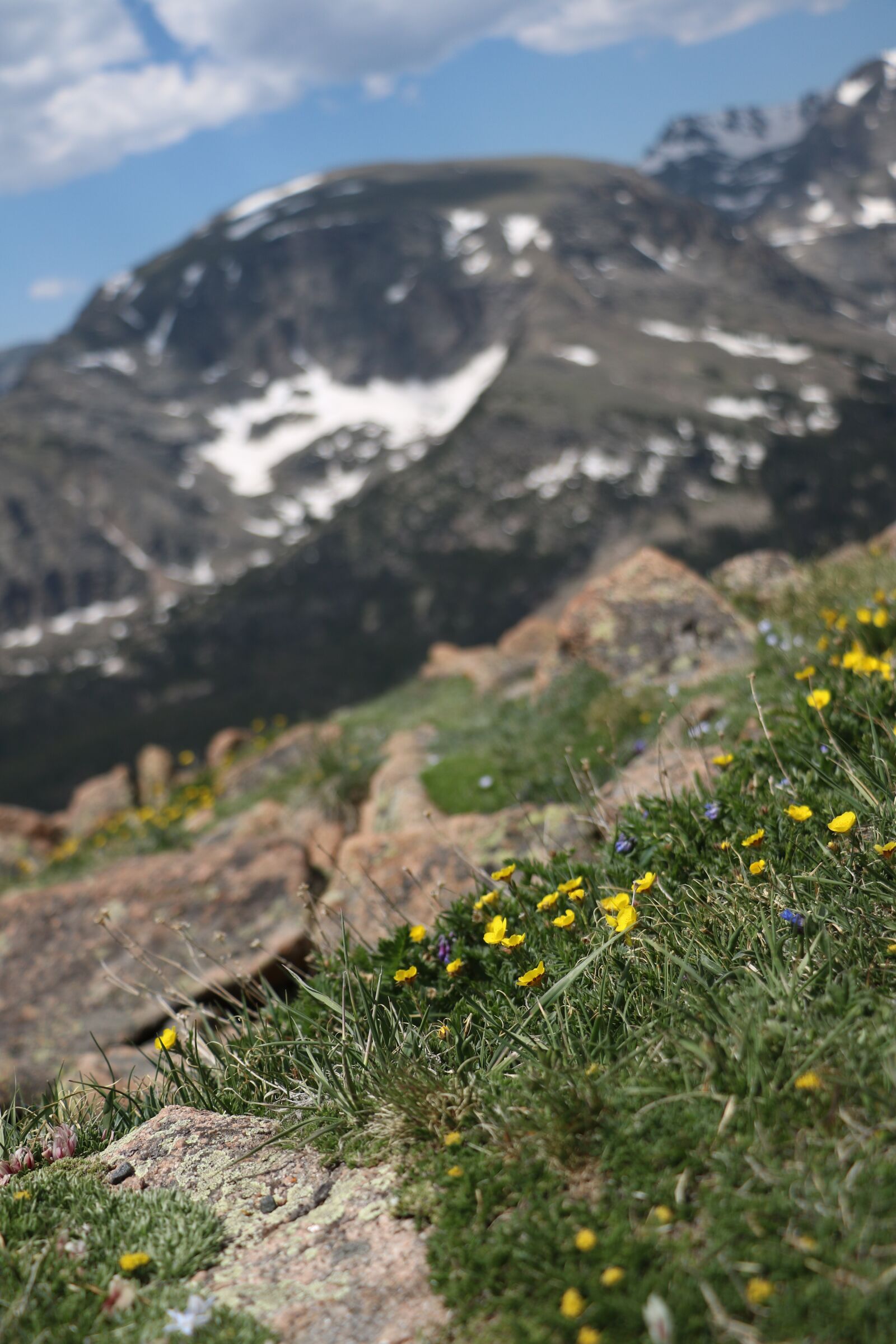Canon EOS 750D (EOS Rebel T6i / EOS Kiss X8i) sample photo. Mountains, rocky, landscape photography