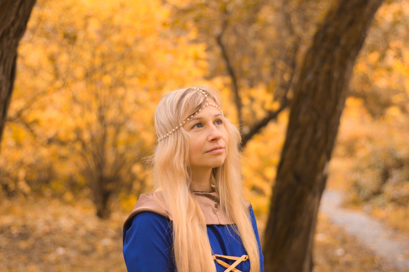 Nikon D7100 sample photo. The middle ages, autumn photography