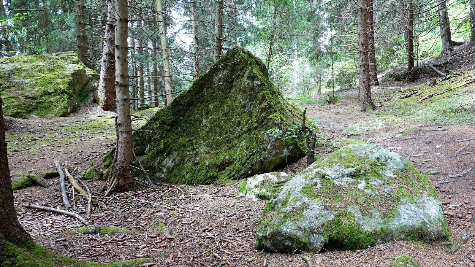 Sony DSC-RX100M7 sample photo. Forest, stones, moss photography