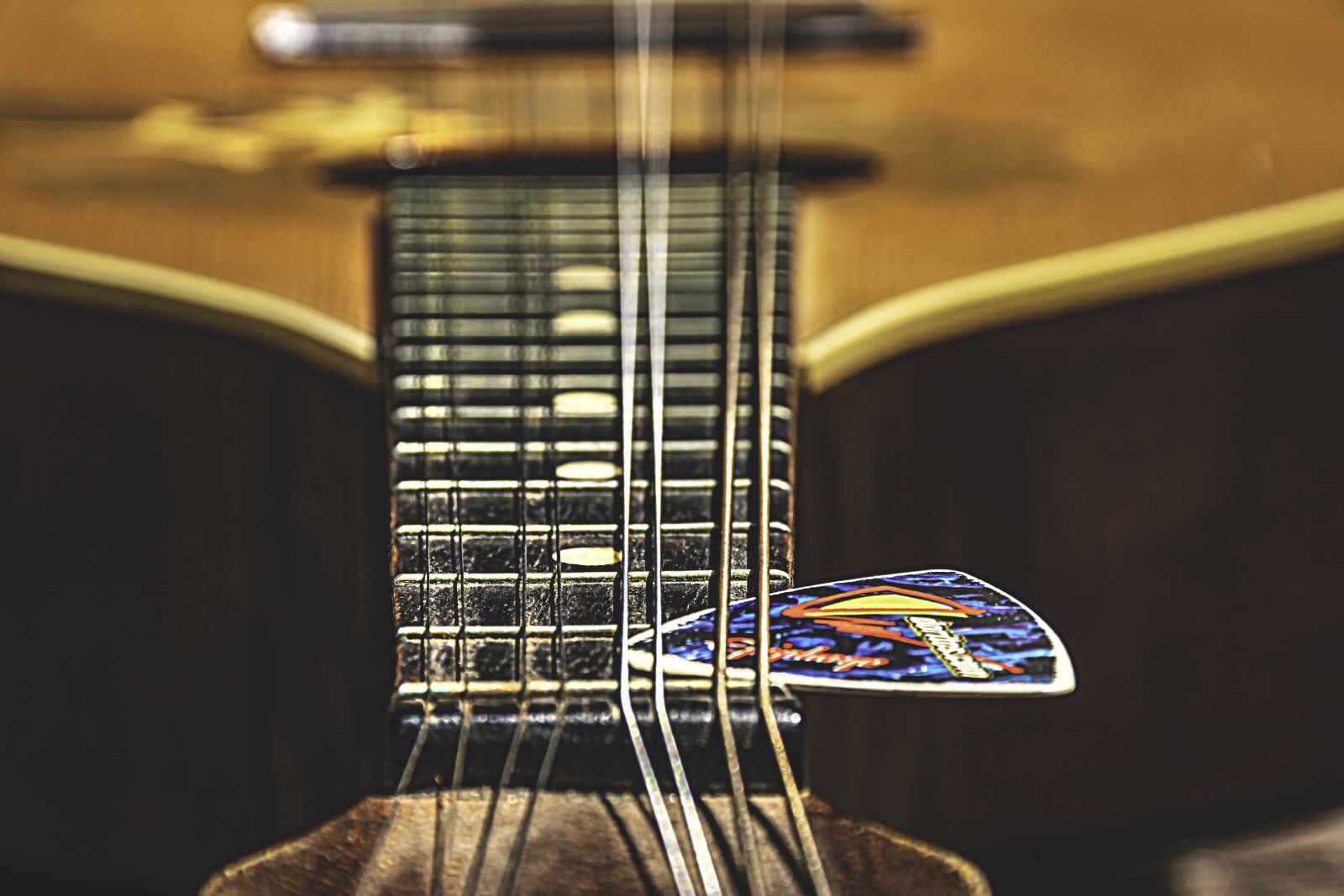 Nikon D5600 sample photo. Strings, instrument, stringed photography