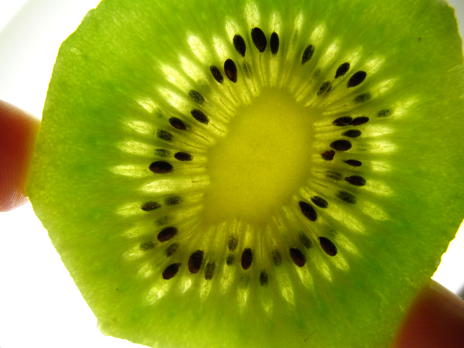Sony DSC-H2 sample photo. Close, up, view, fruit photography