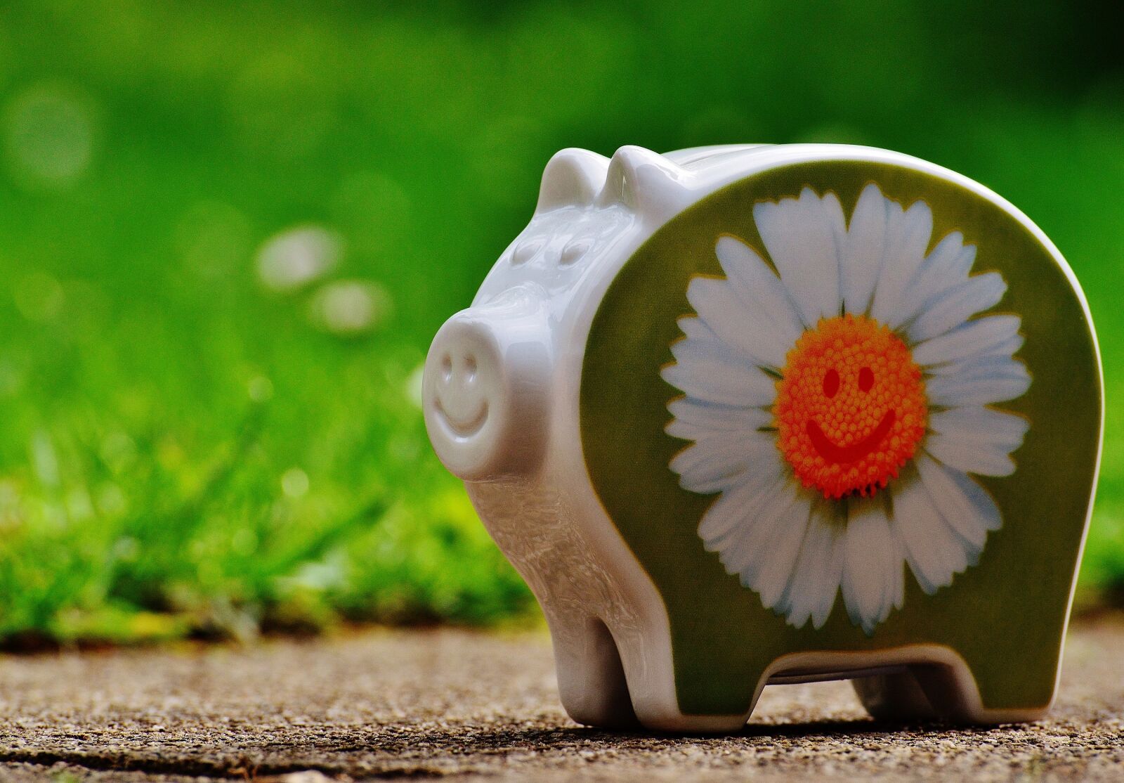 Nikon D3200 sample photo. Piggy bank, smiley, funny photography