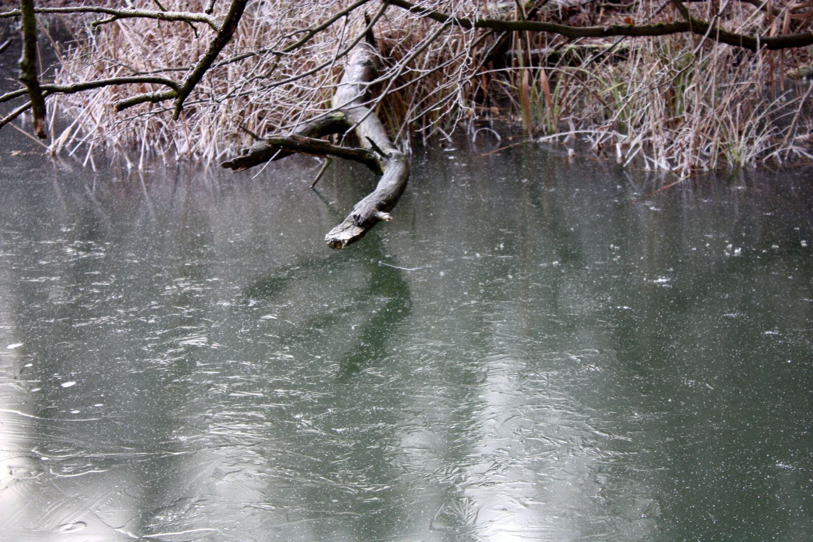 Canon EOS 450D (EOS Rebel XSi / EOS Kiss X2) sample photo. River, water, gefrohren photography