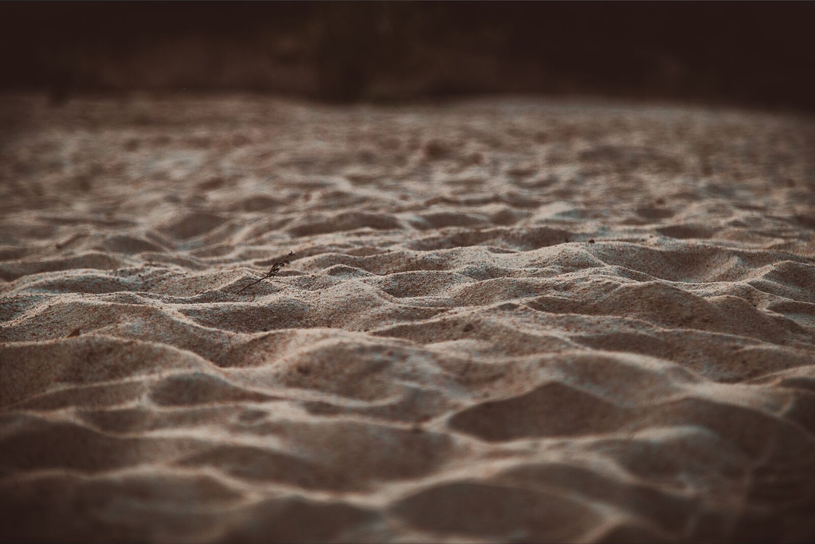 GoPro Hero5 Black sample photo. Sand, the river's fish photography