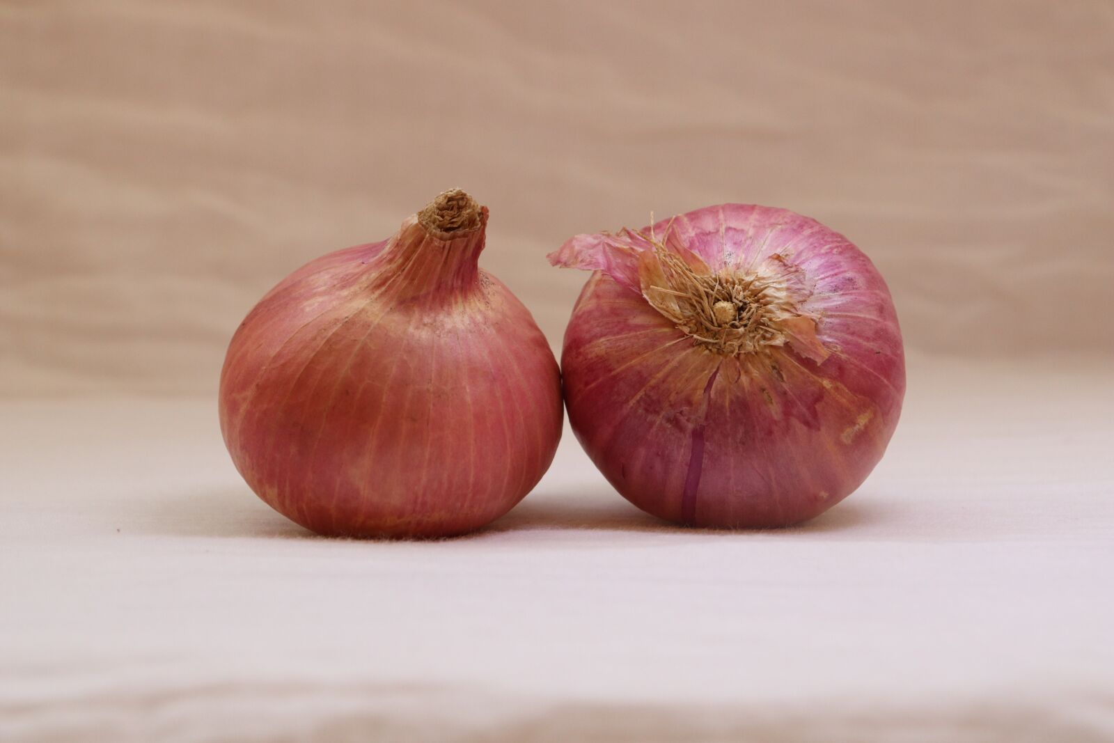 Canon EOS 77D (EOS 9000D / EOS 770D) sample photo. Onion, vegetable, food photography
