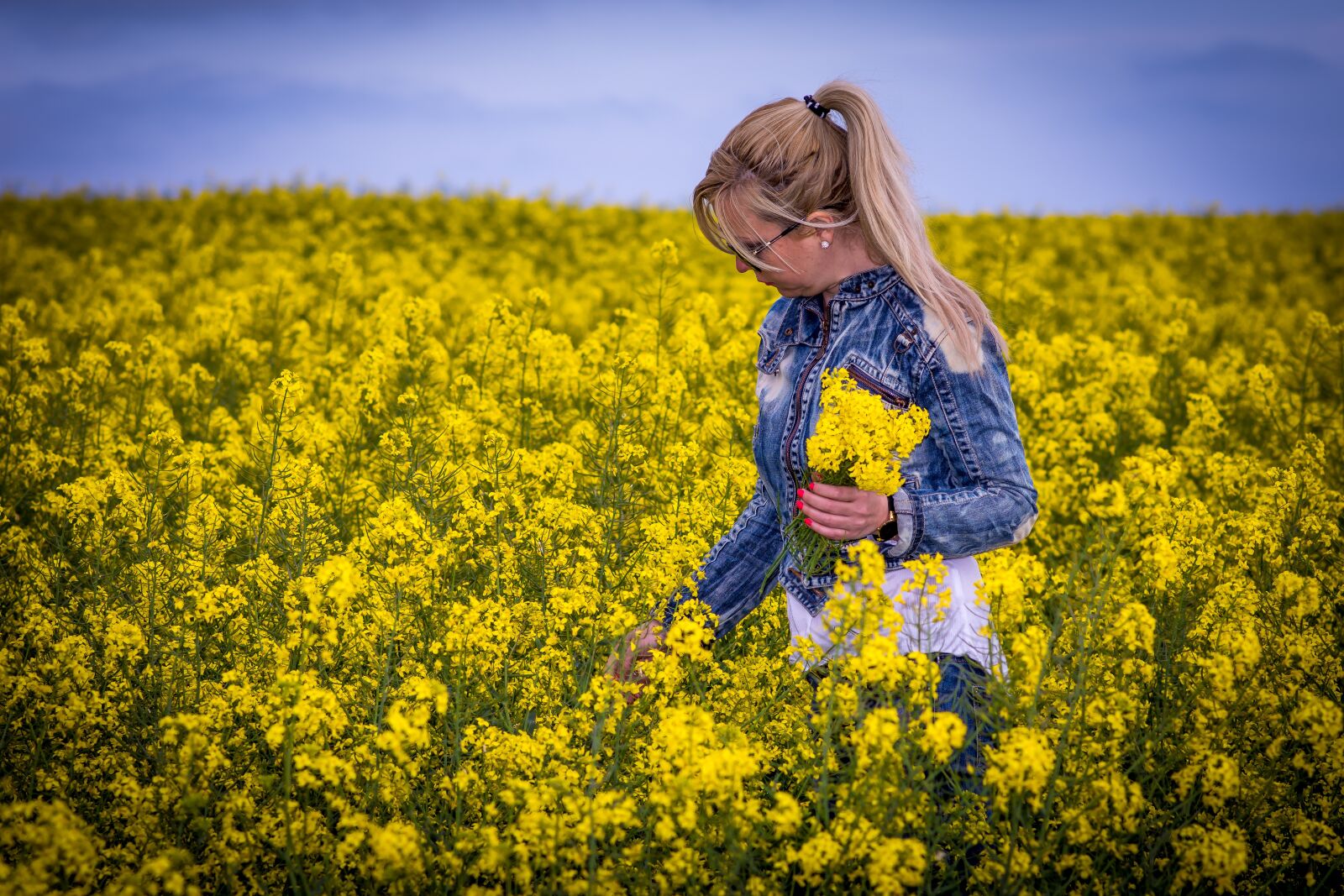 Nikon D7200 sample photo. Field, flower, nature photography