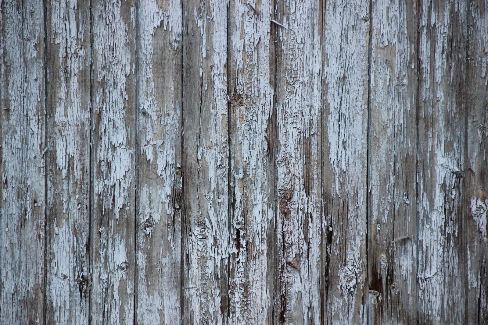 Canon EOS 600D (Rebel EOS T3i / EOS Kiss X5) sample photo. Background, wood, boards photography