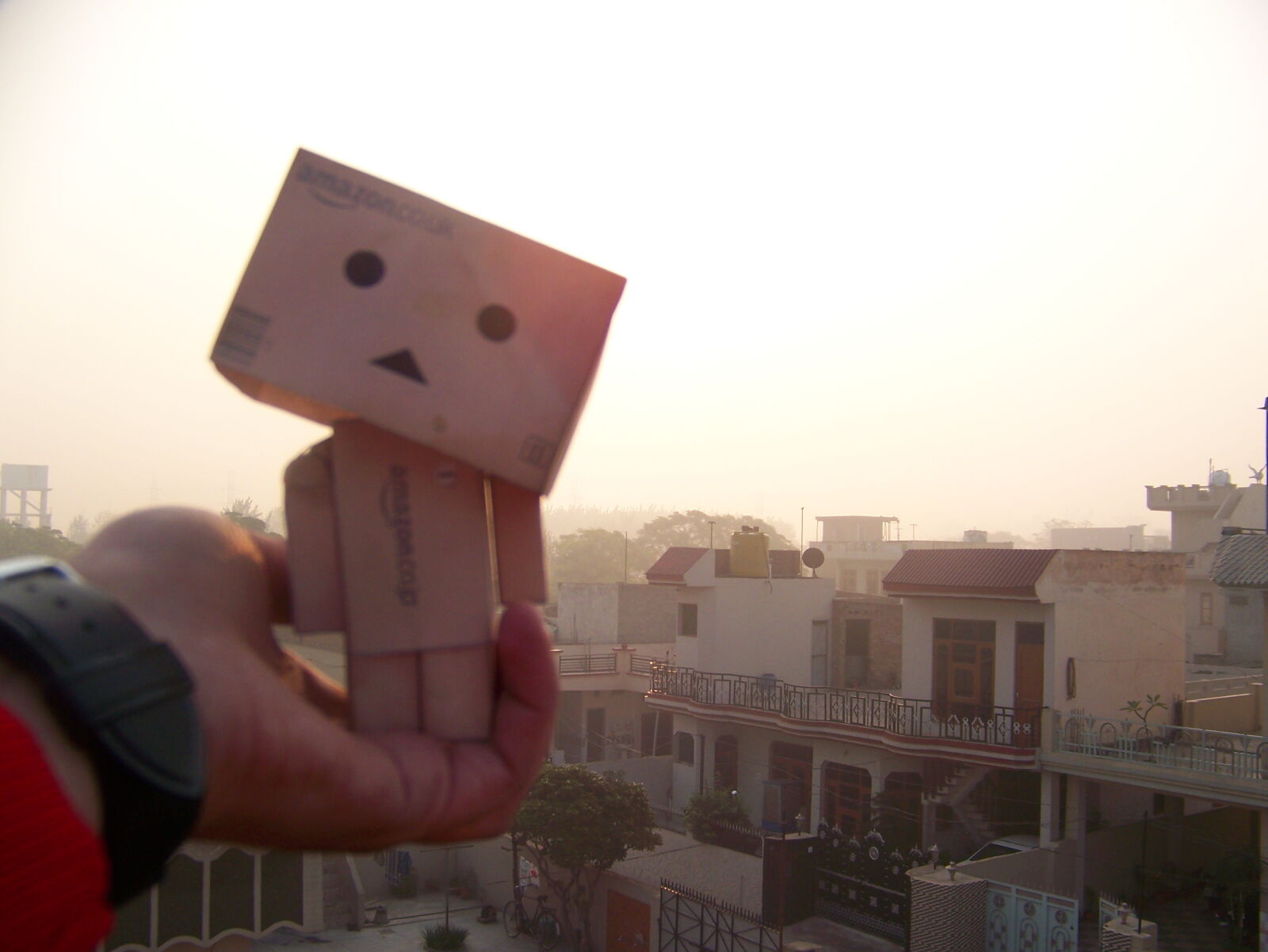 Kodak Z612 ZOOM DIGITAL CAMERA sample photo. Buddy, danbo, sunrise photography