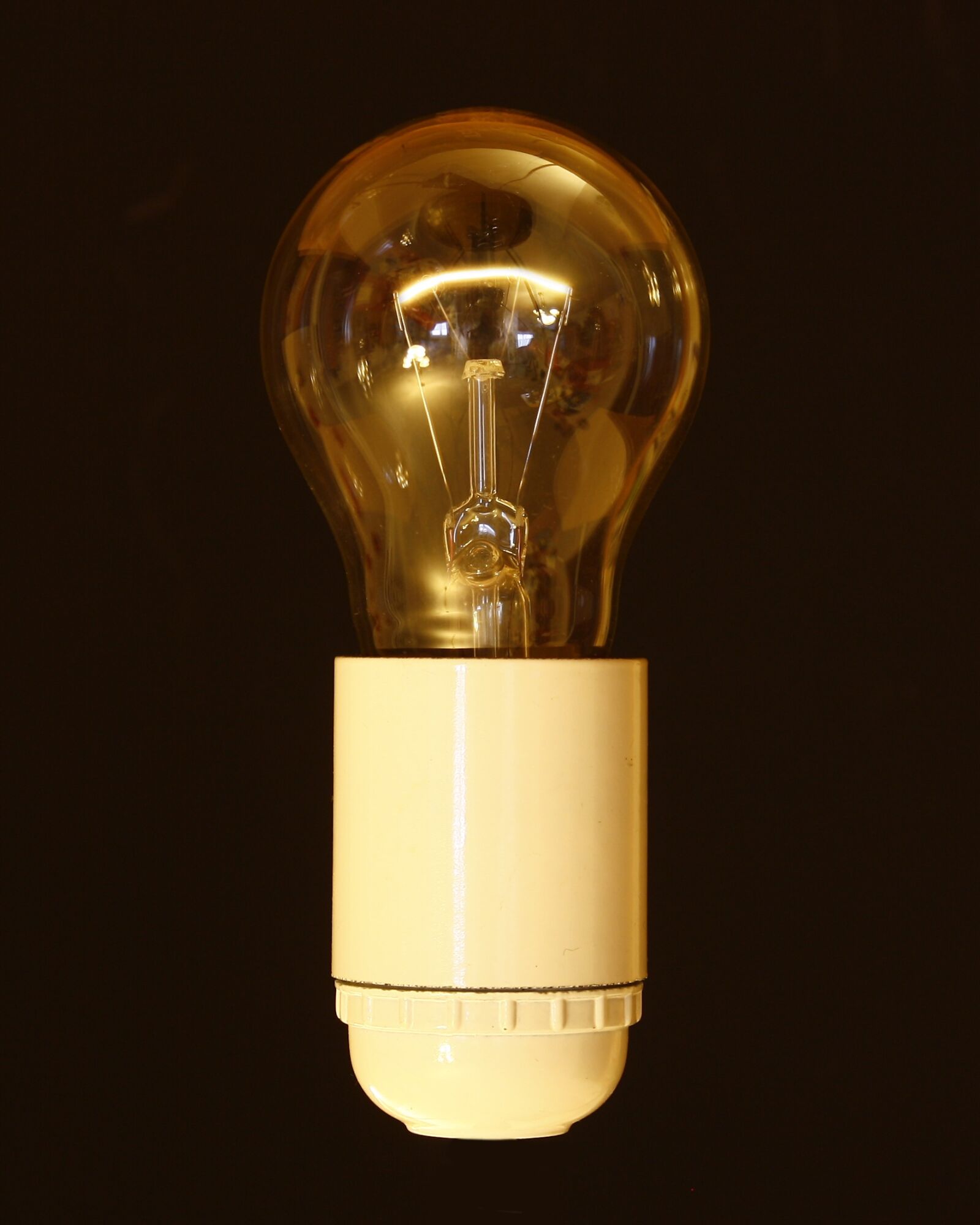 Canon EOS 1000D (EOS Digital Rebel XS / EOS Kiss F) sample photo. Pear, light bulb, version photography