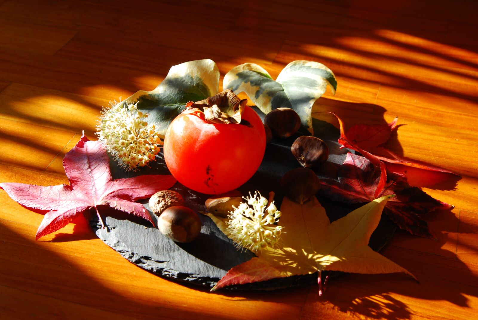 Nikon D80 sample photo. Autumn, khaki, chestnuts photography